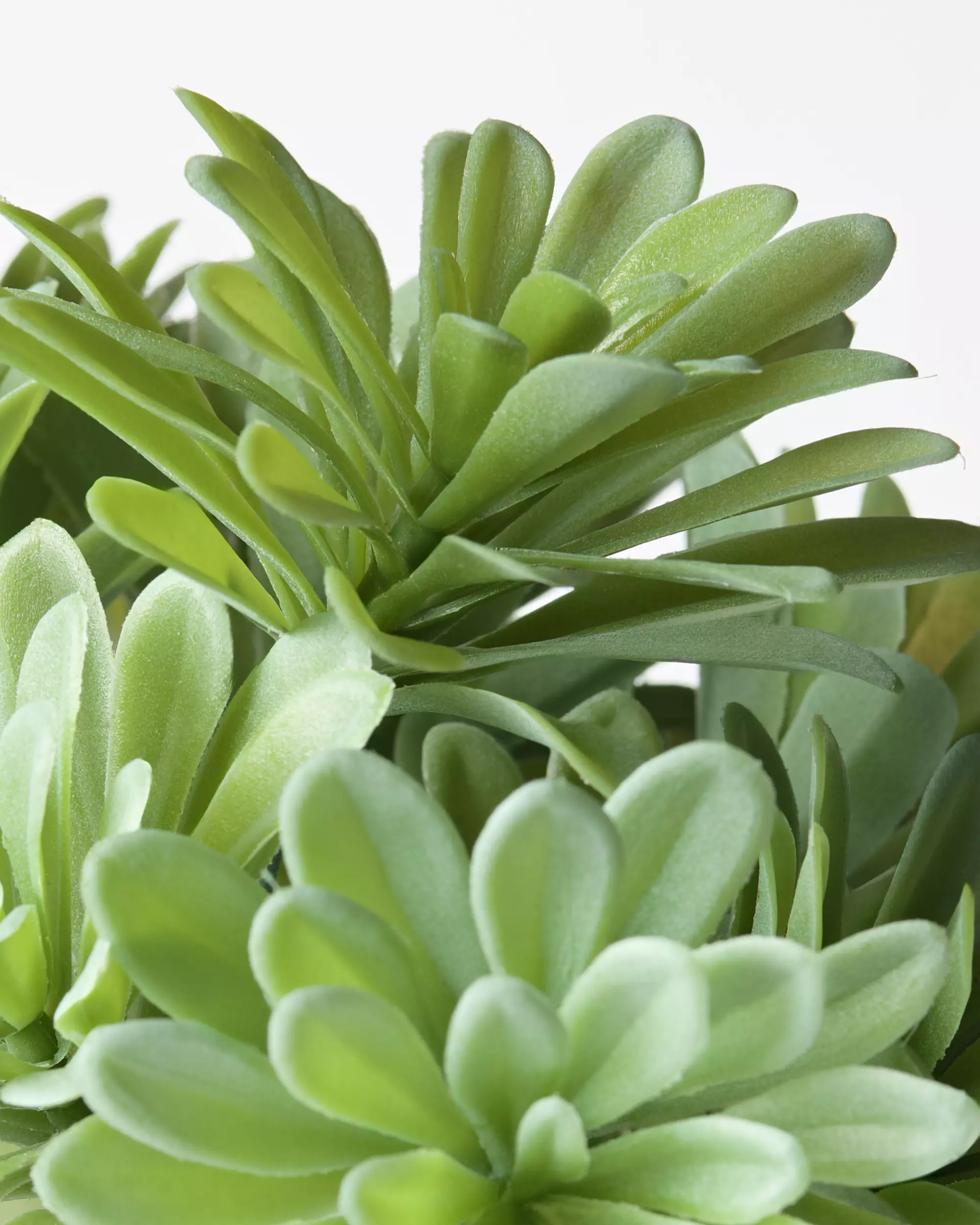 kunstplant vetplant 55cm 