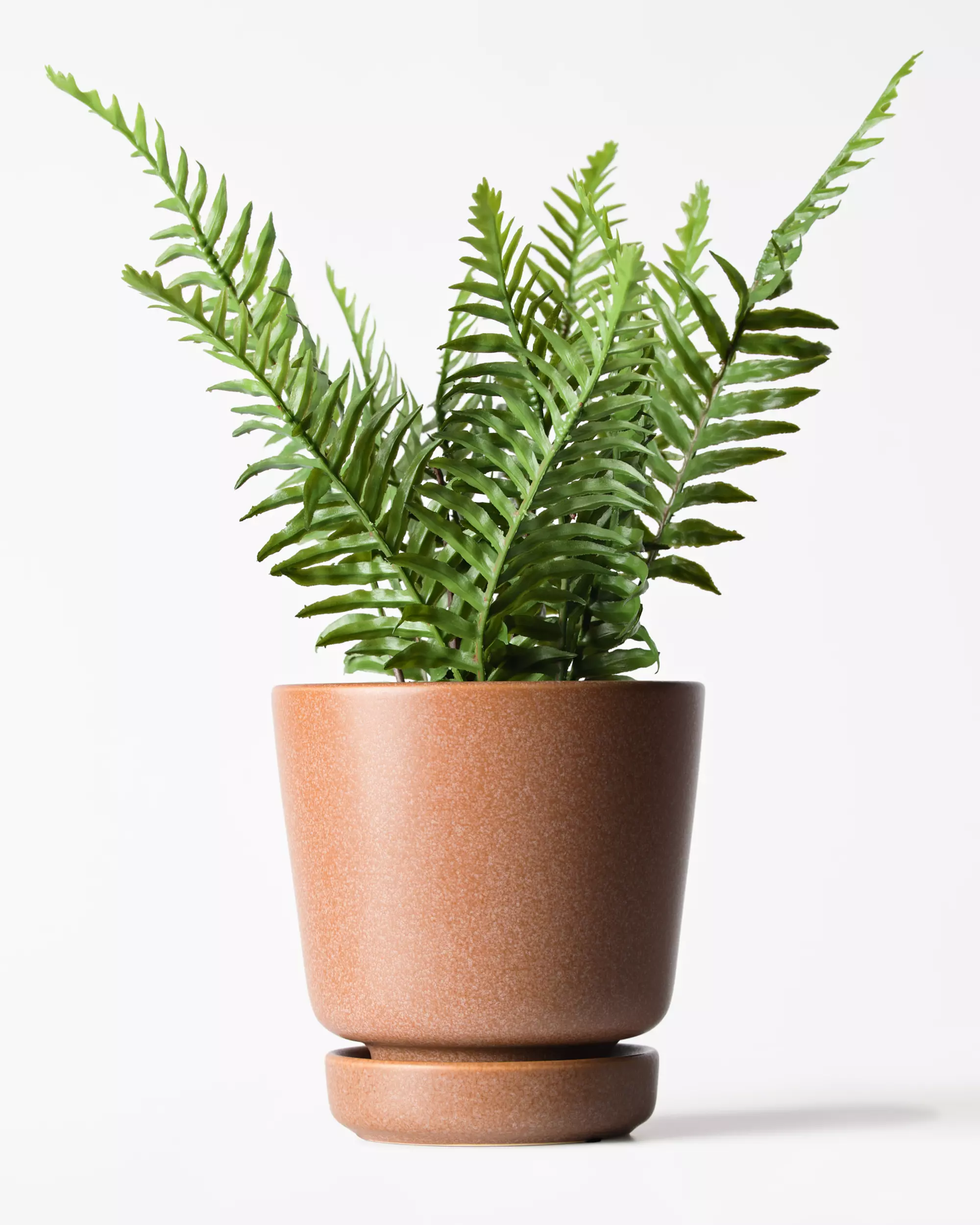 kunstplant varen 55cm