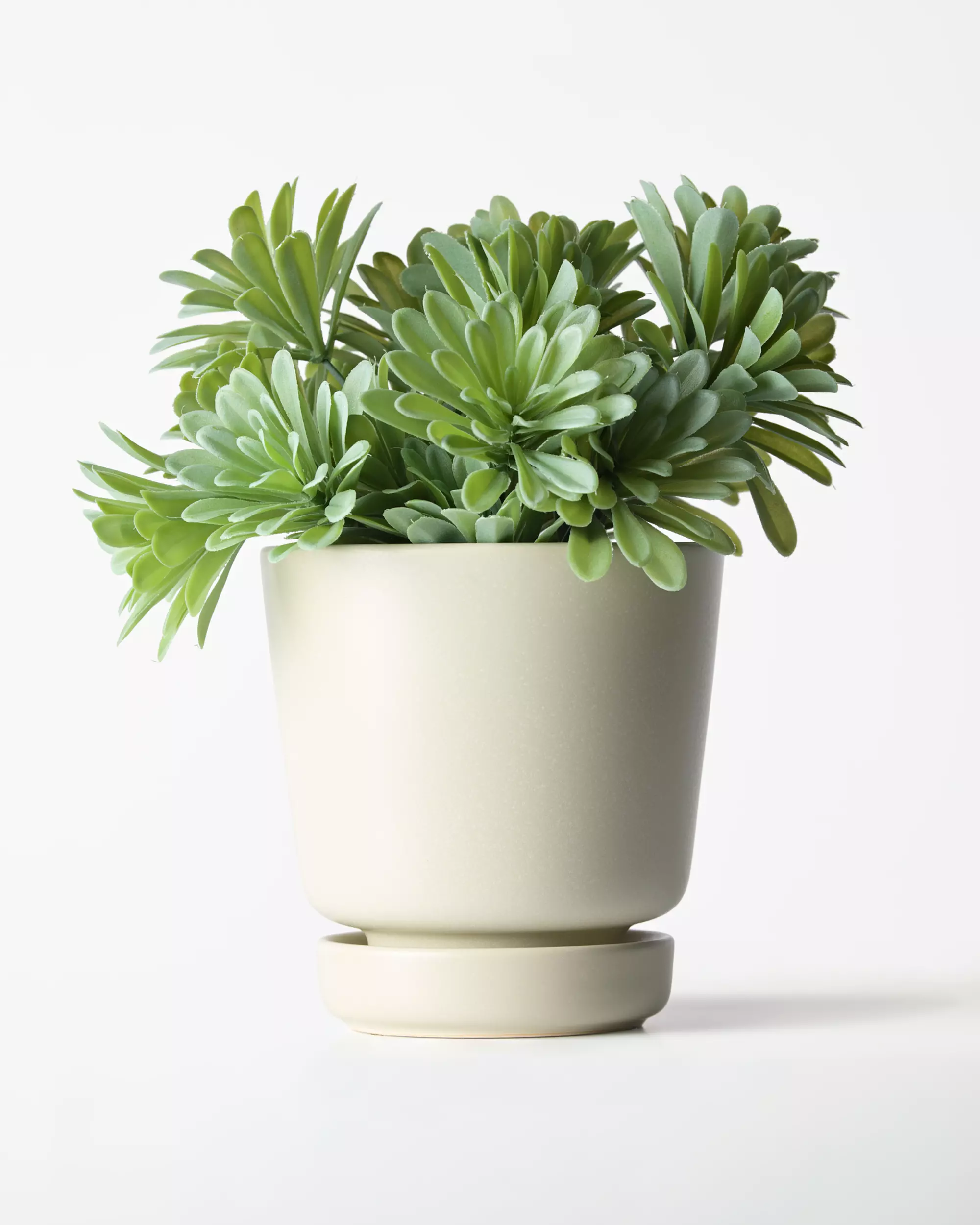 kunstplant vetplant 55cm 