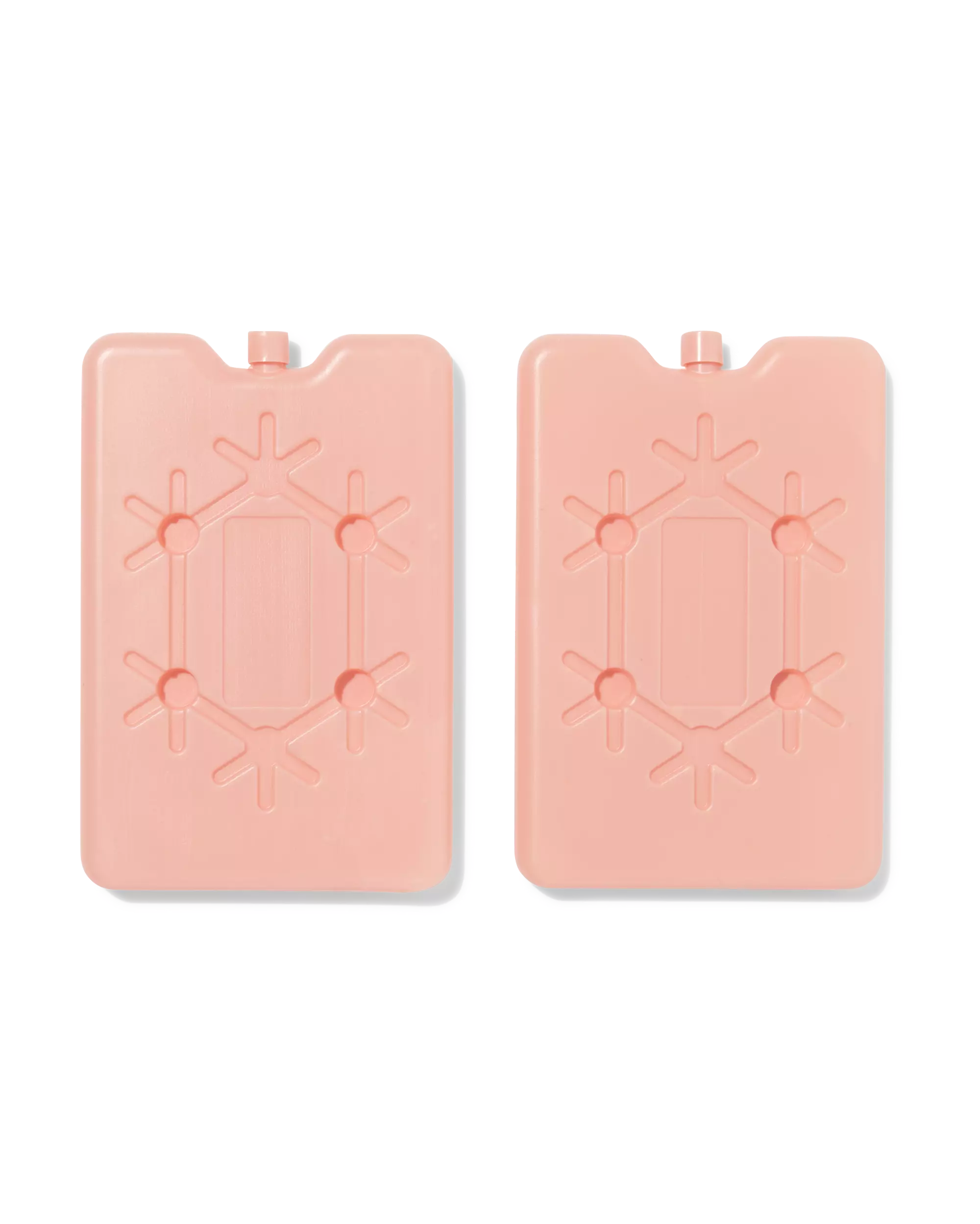 blocs réfrigérants roses - 2 pièces
