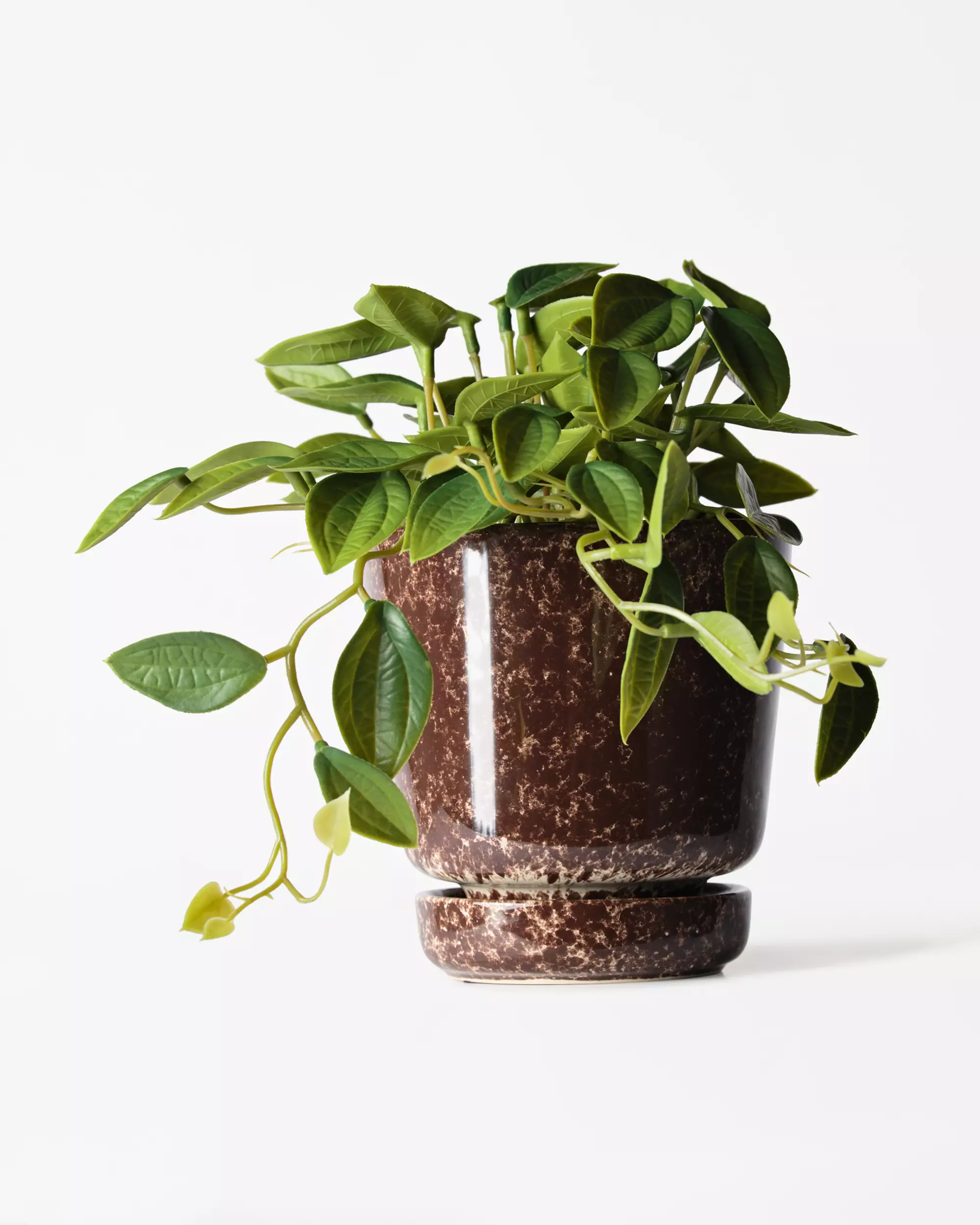 kunstplant philodendron 55cm