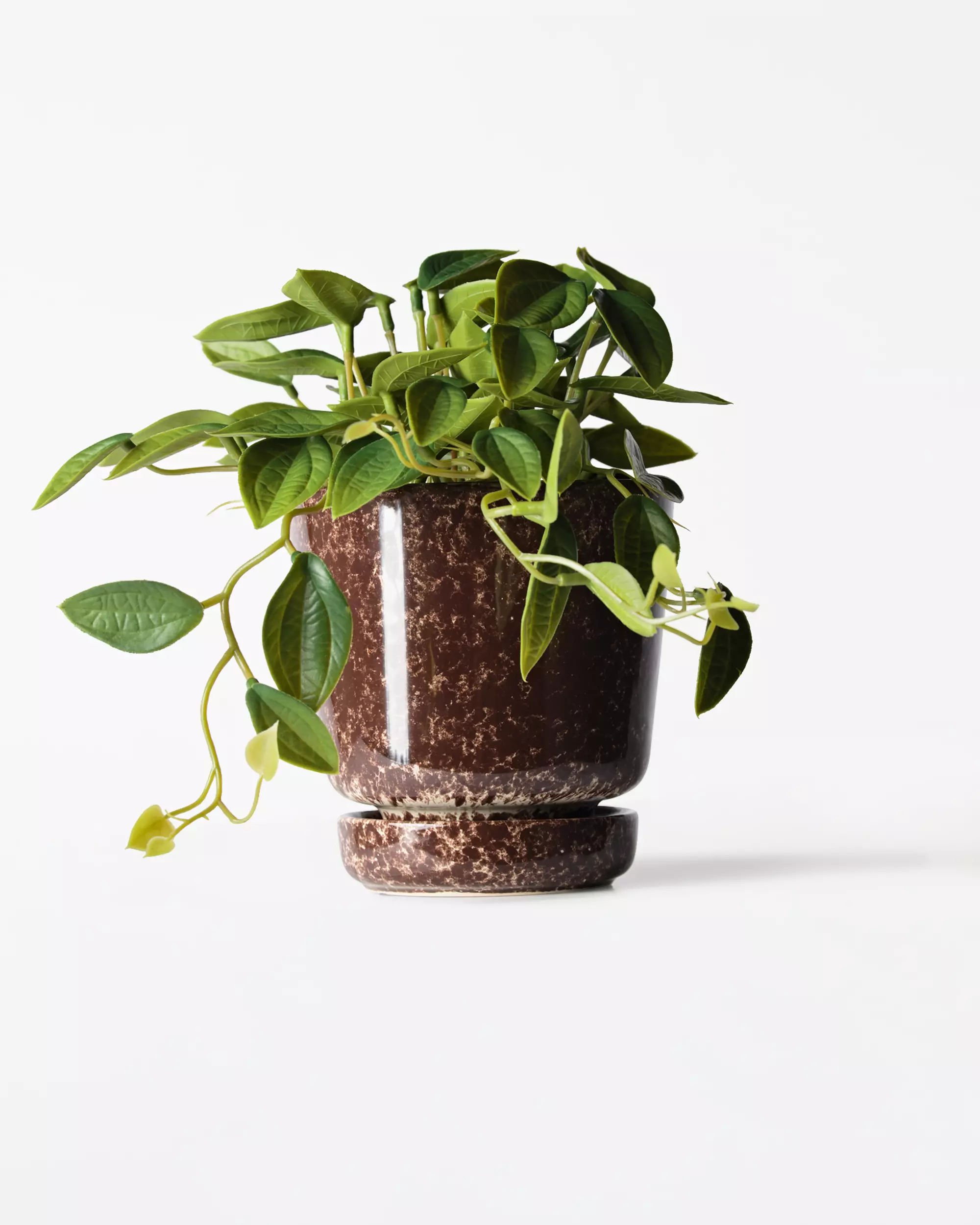 cache-pot ⌀11x12 cm céramique moucheté marron