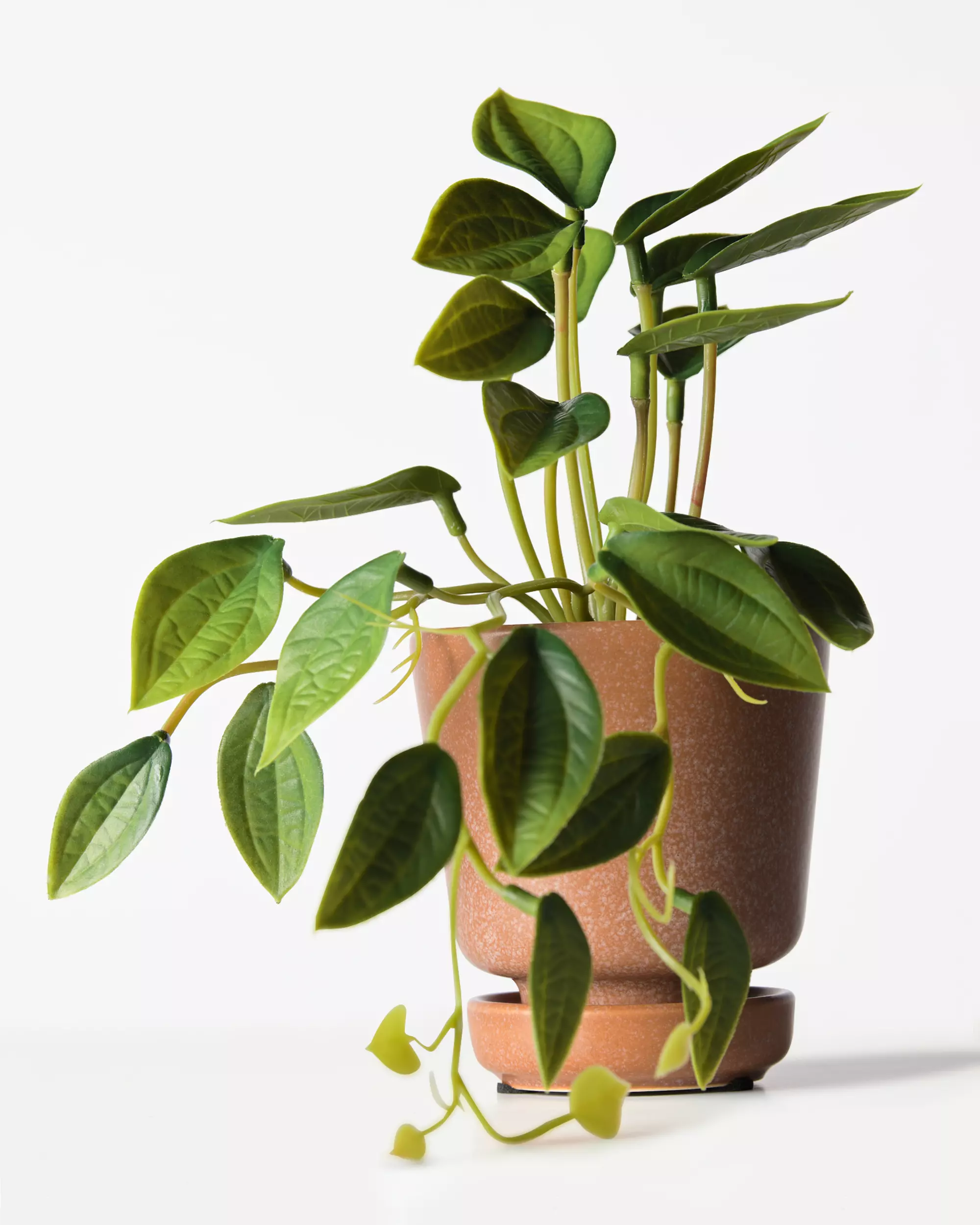kunstplant philodendron 55cm