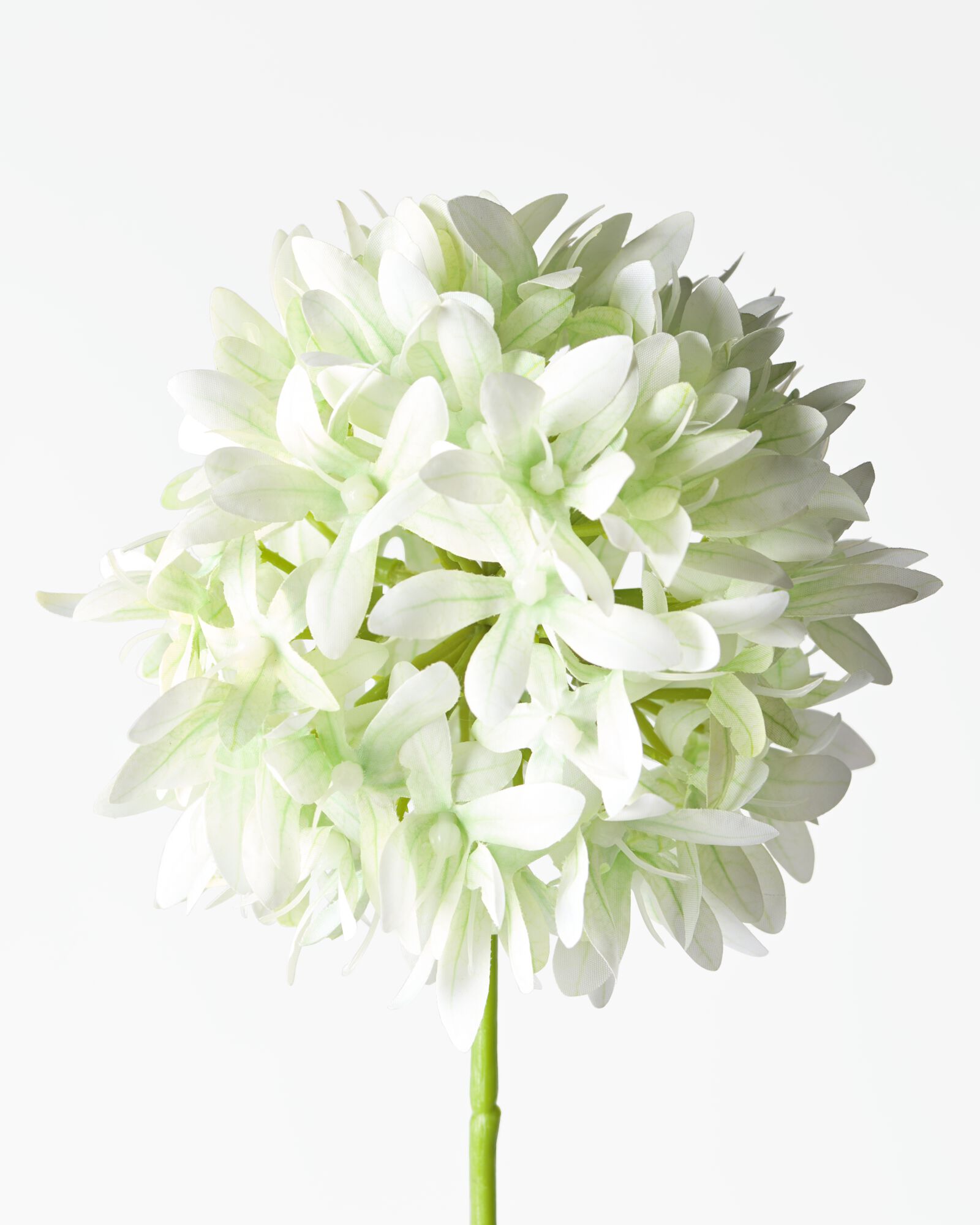 kunstbloem allium 55cm wit - 41326209 - HEMA