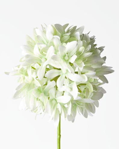 kunstbloem allium 55cm wit - 41326209 - HEMA