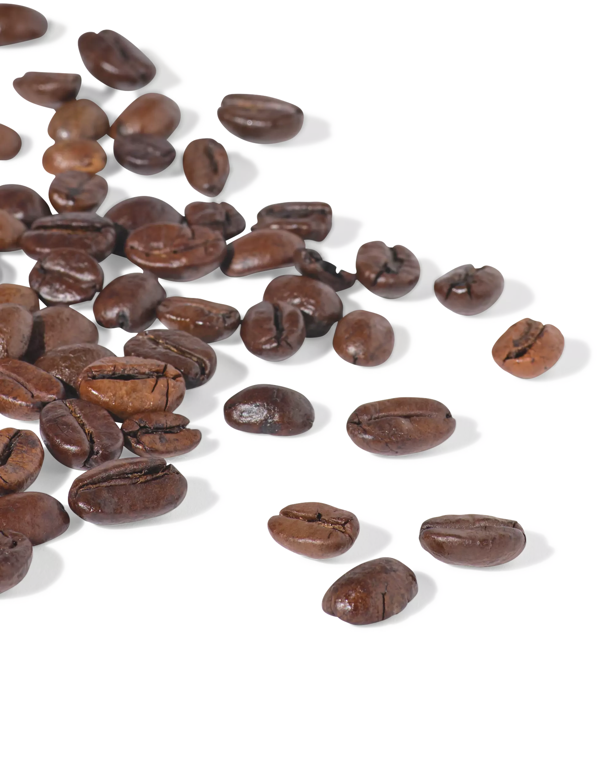 café en grains regular 1 000 g