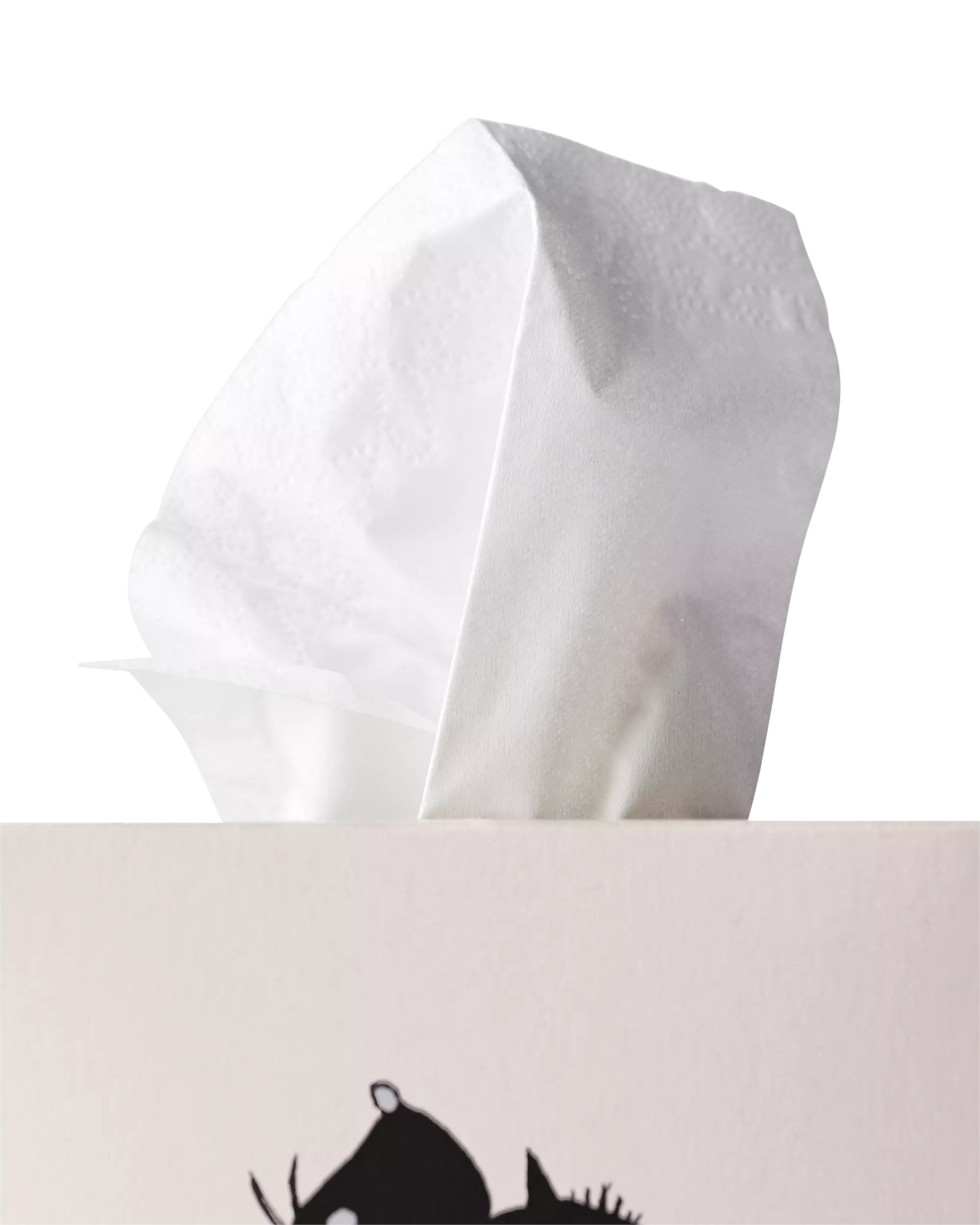 mouchoirs en papier Takkie et Siepie