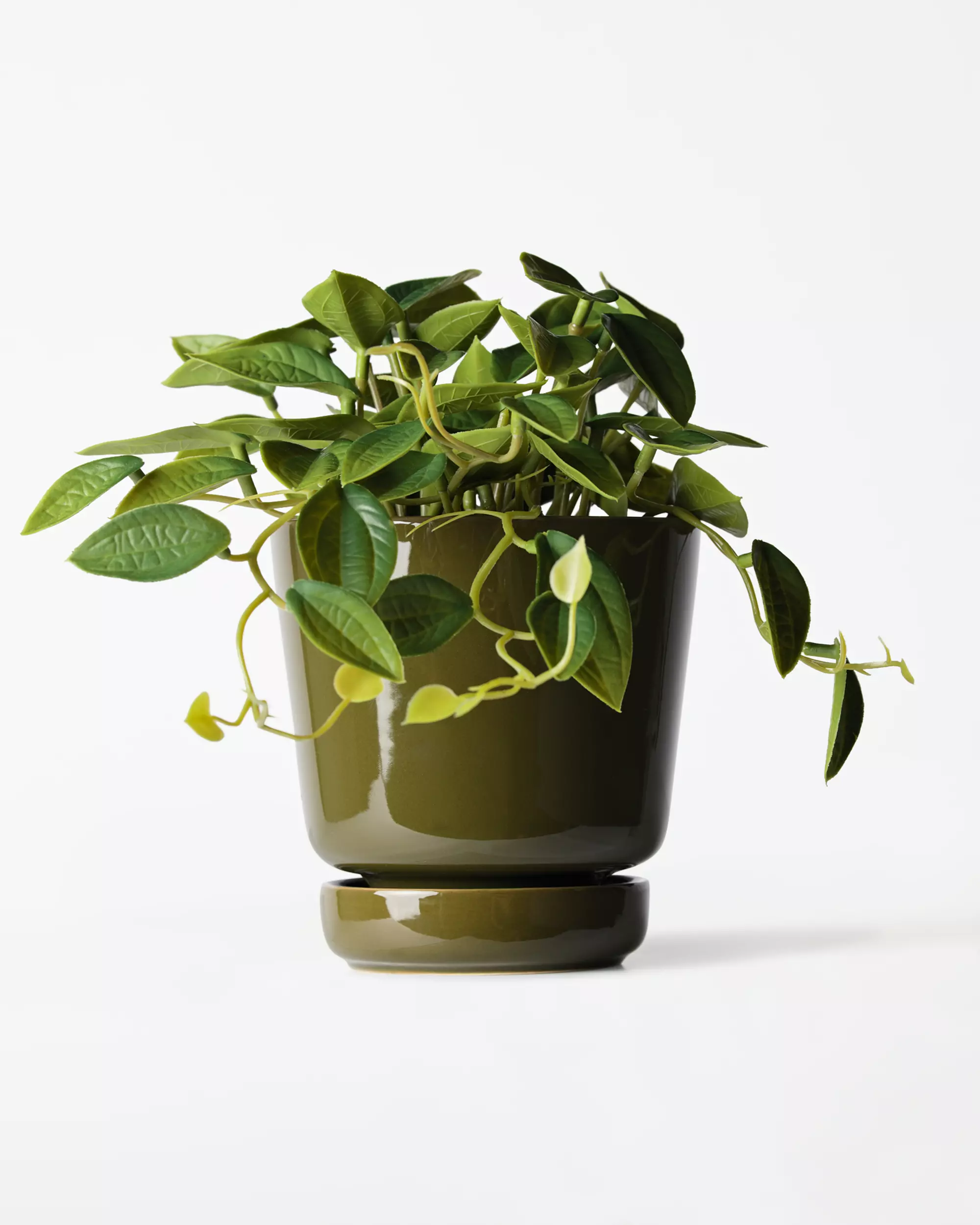 cache-pot ⌀11x12 cm céramique verte