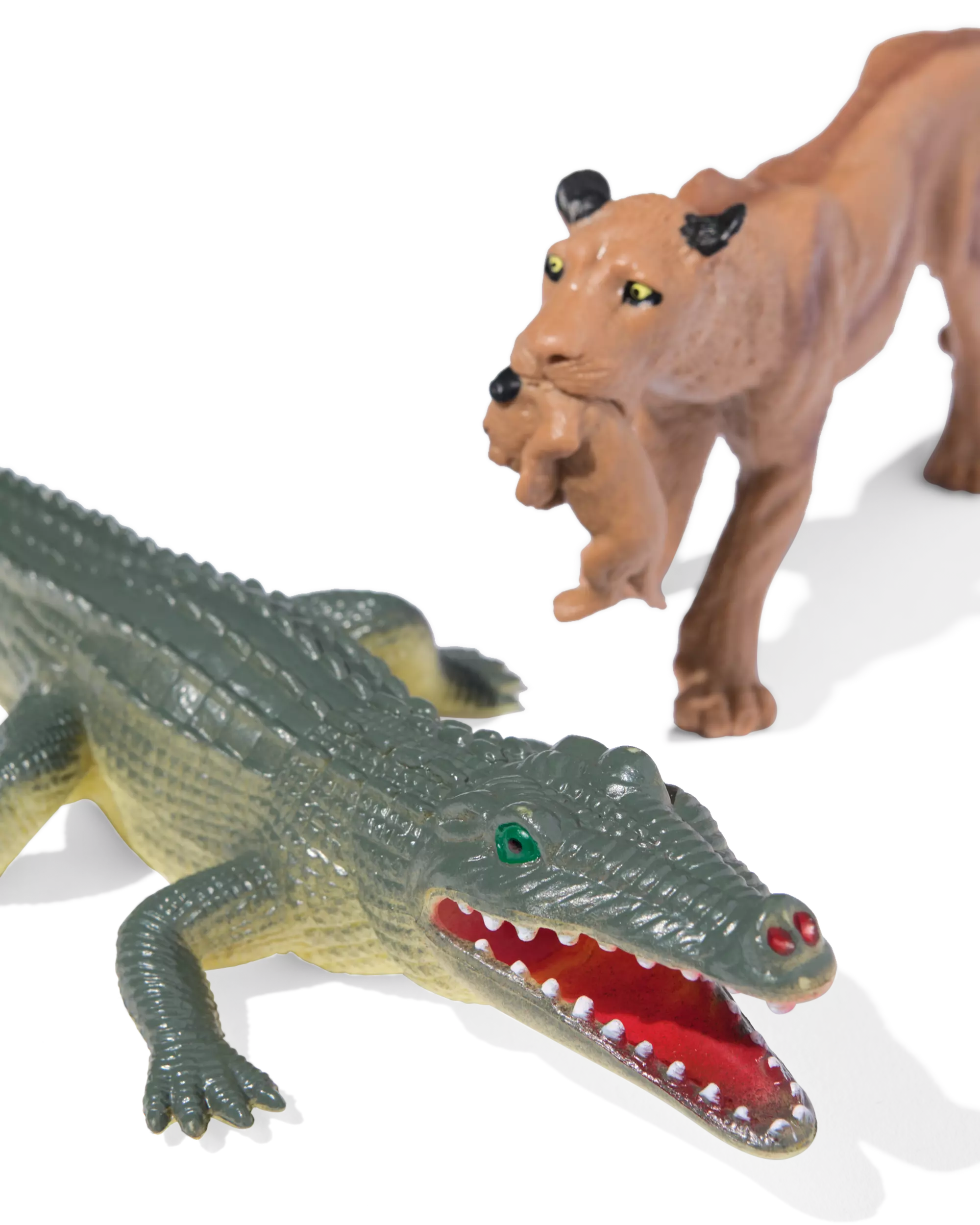 animaux de la jungle