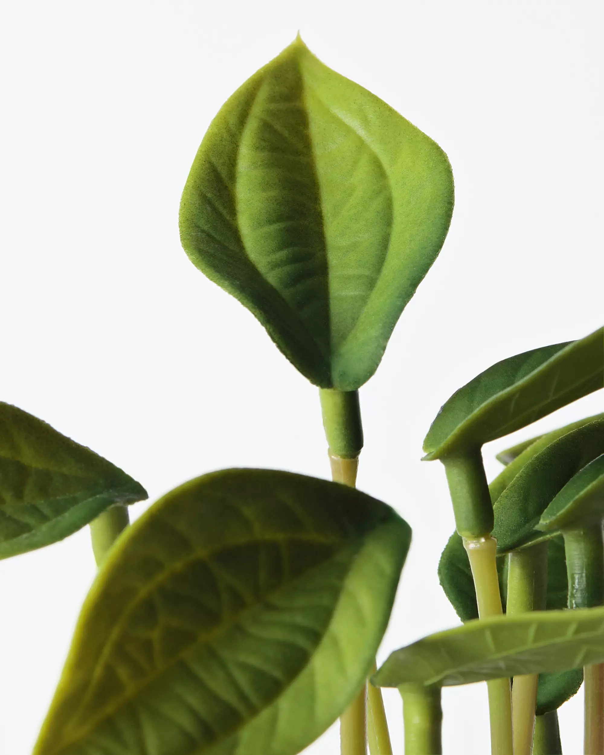 kunstplant philodendron 55cm