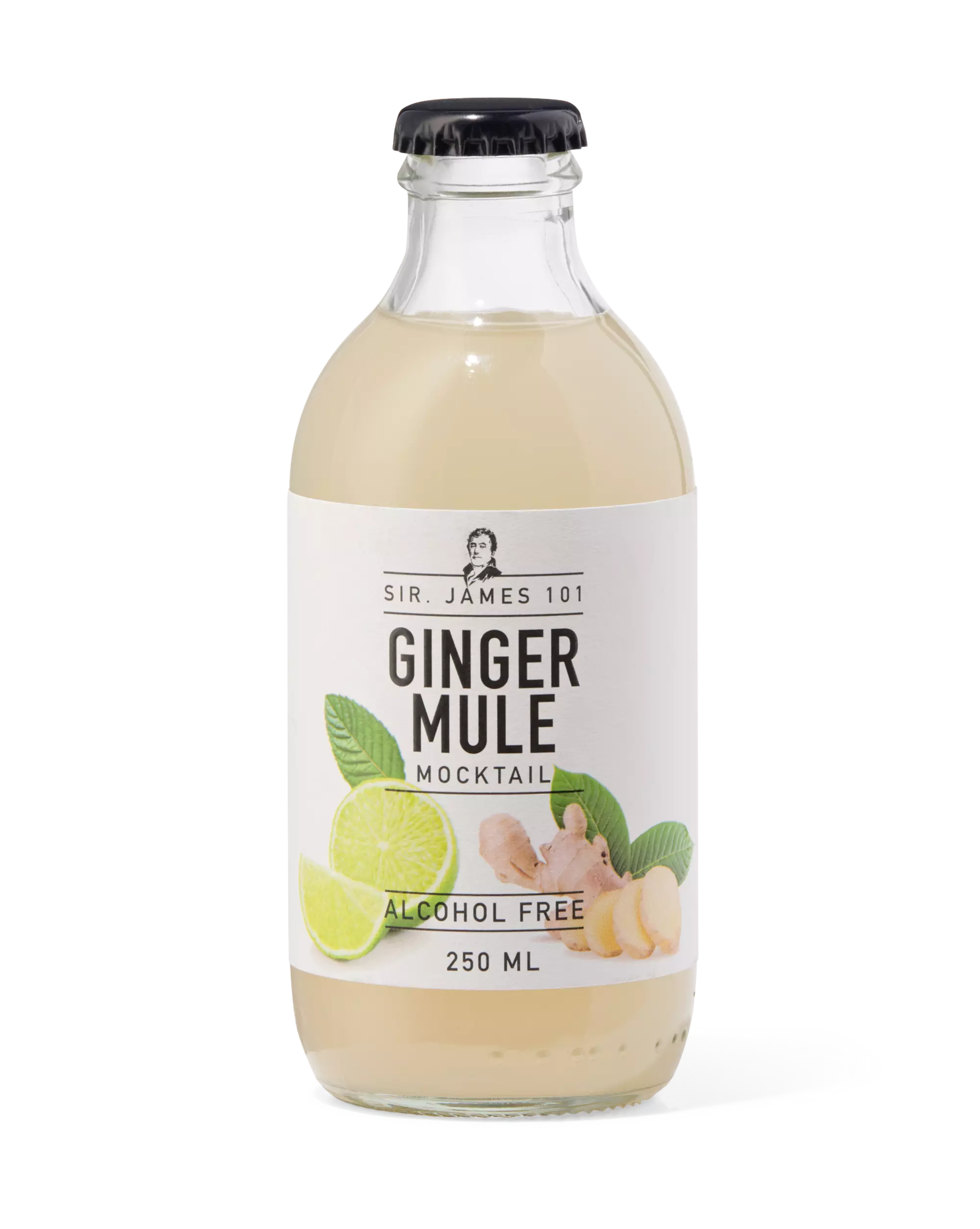 ginger mule sans alcool 250ml