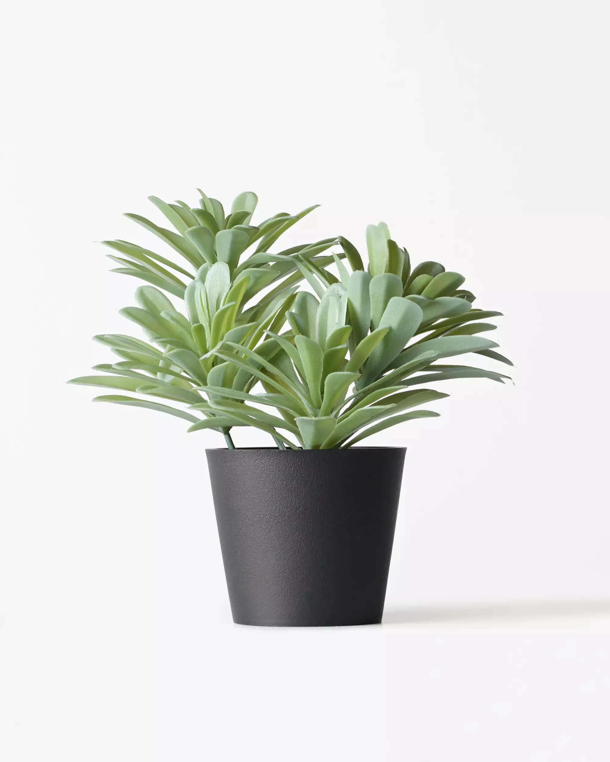 plante artificielle plante grasse 55 cm