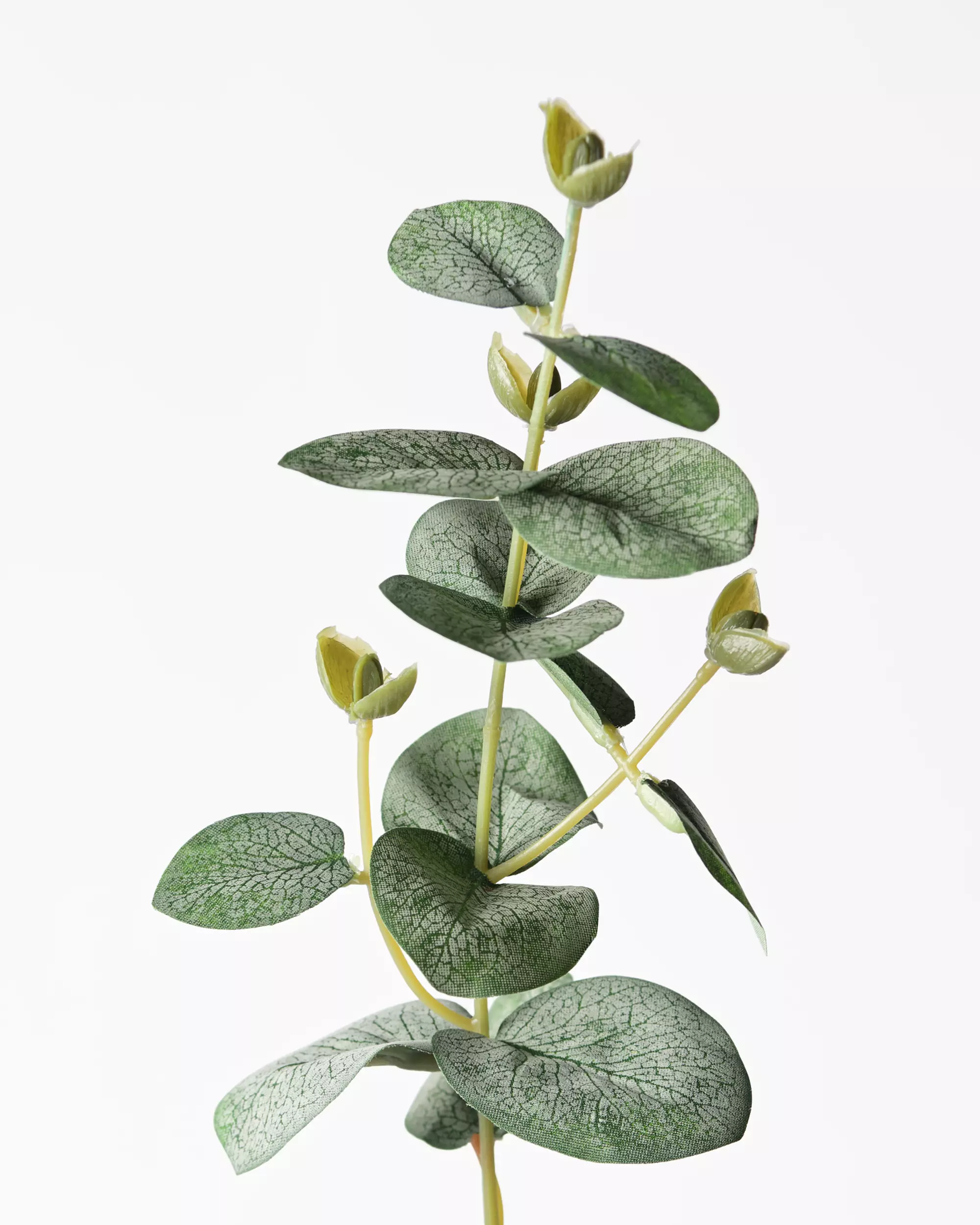 branche d'eucalyptus artificielle 55 cm
