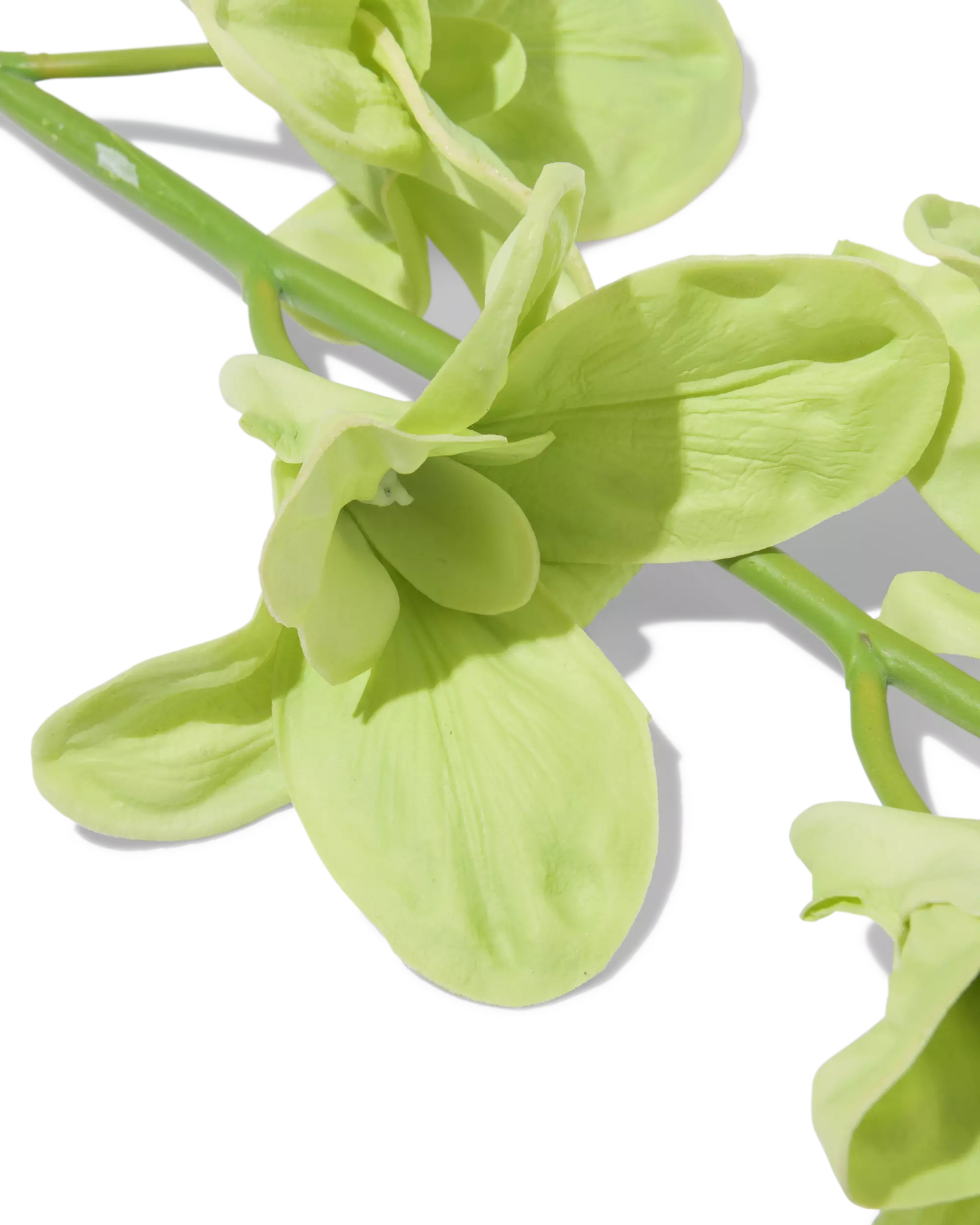 fleur artificielle dendrobium 55 cm caoutchouc vert