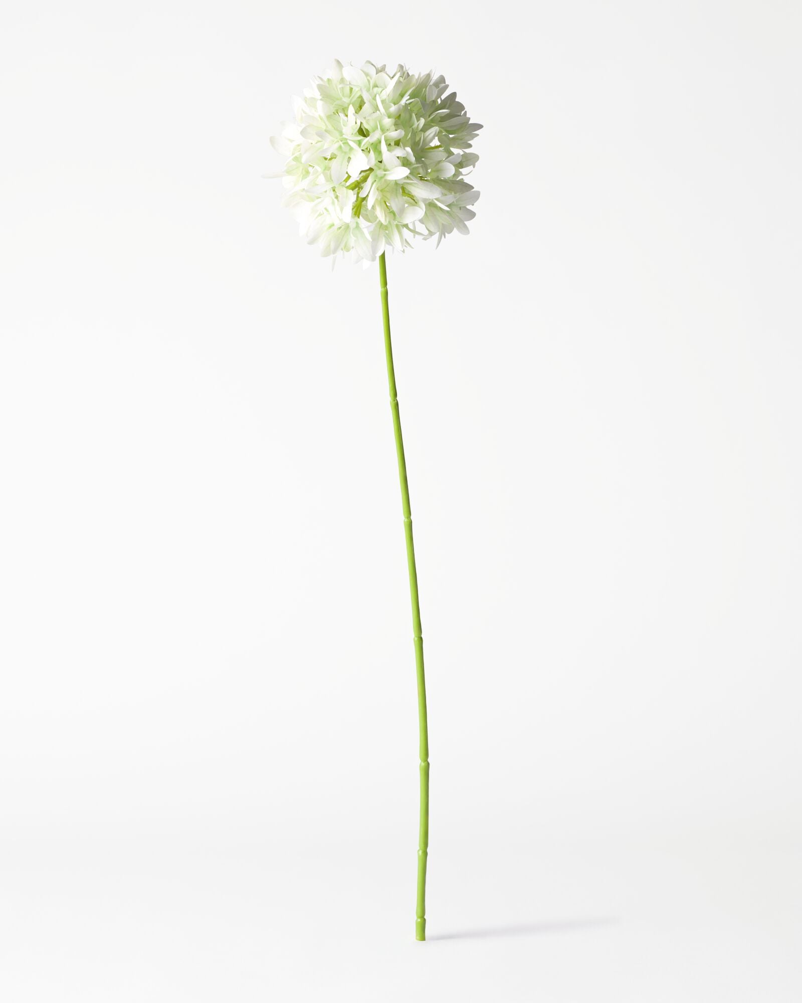 kunstbloem allium 55cm wit - 41326209 - HEMA