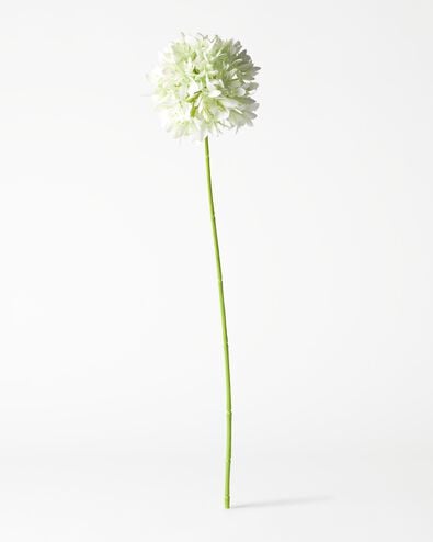 kunstbloem allium 55cm wit - 41326209 - HEMA