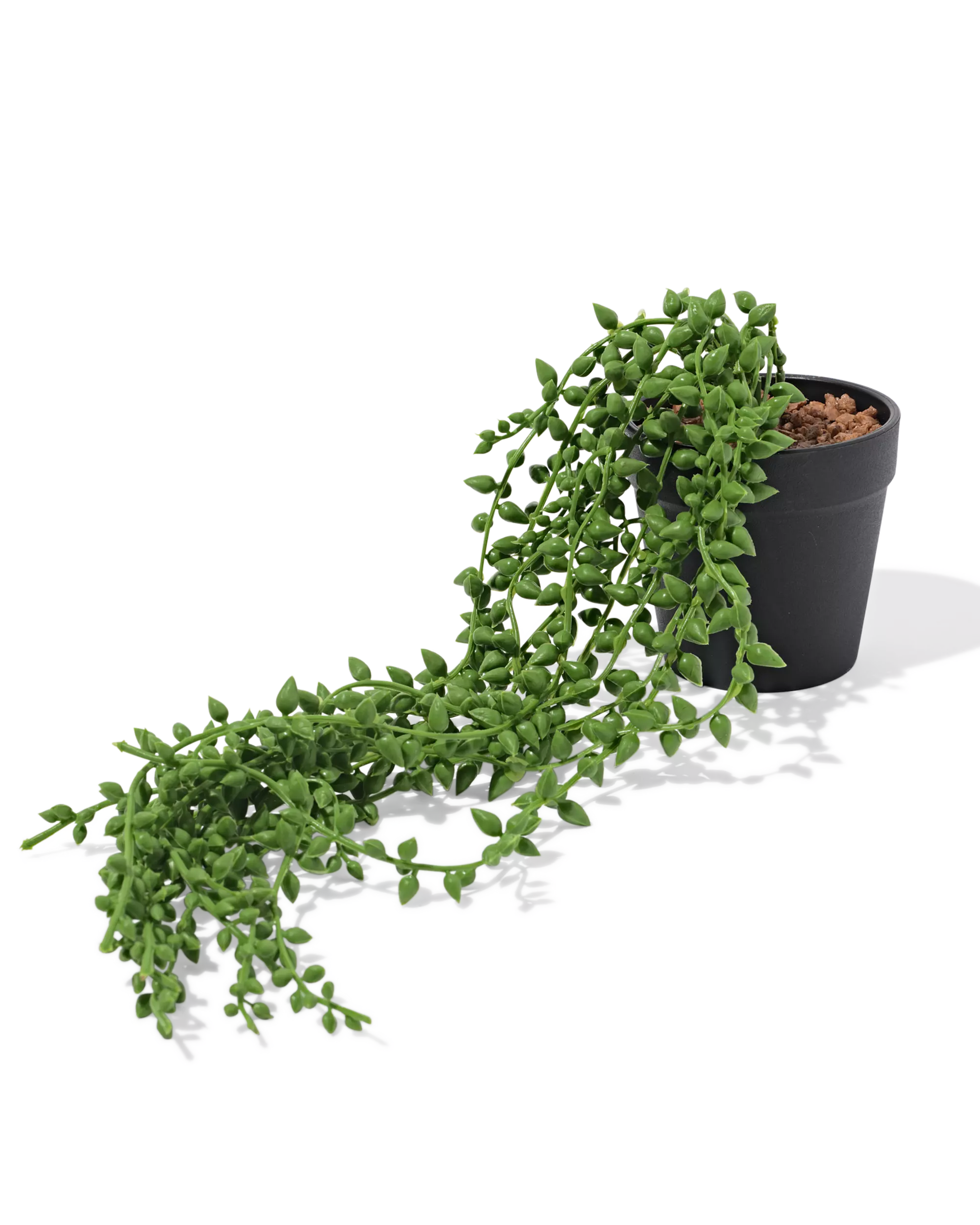 kunstplant erwtjes