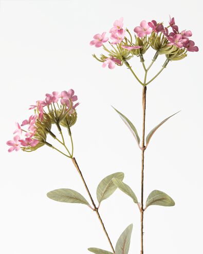 fleur artificielle limonium 55 cm vieux rose - 41326211 - HEMA