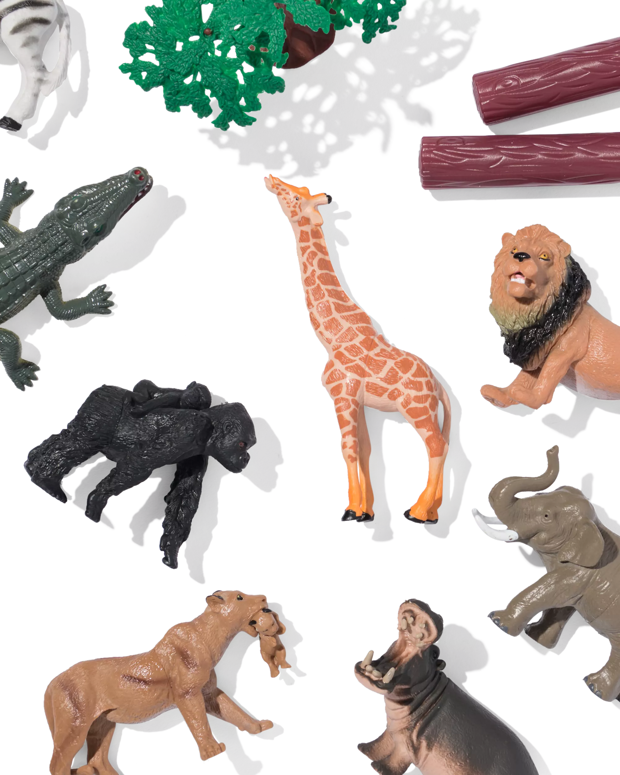 animaux de la jungle