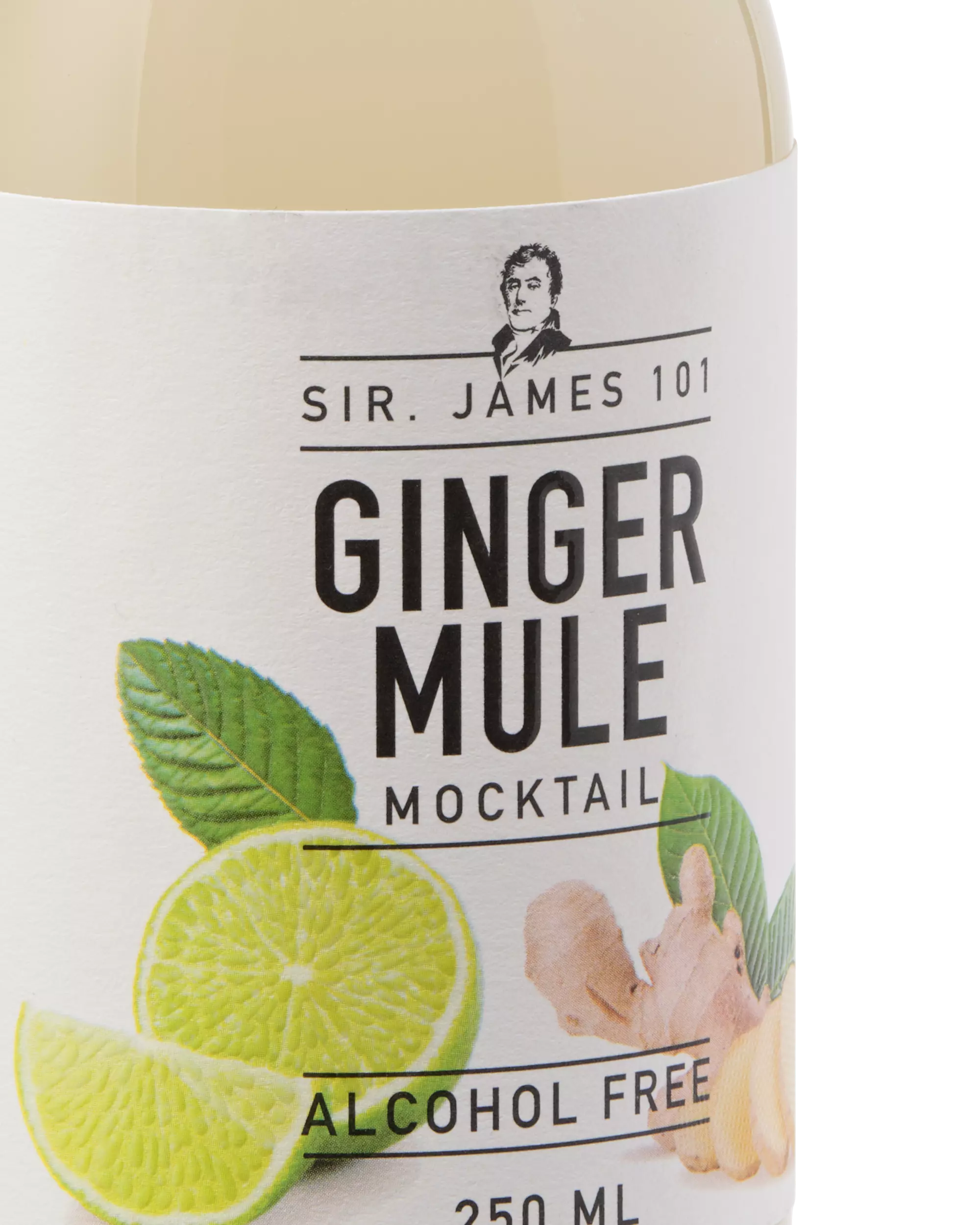 ginger mule sans alcool 250ml