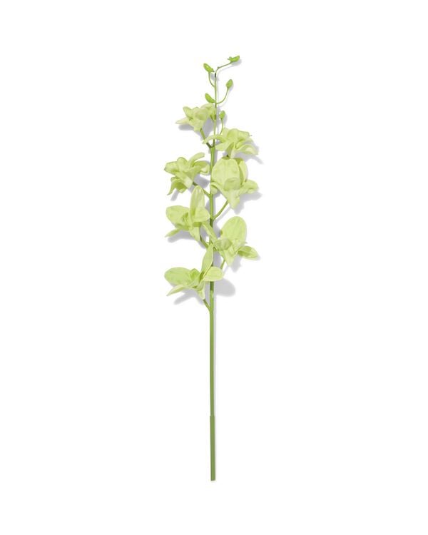 fleur artificielle dendrobium 55 cm caoutchouc vert - 41300116 - HEMA