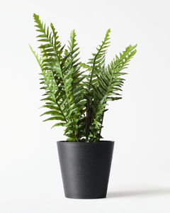 fougère artificielle 55 cm