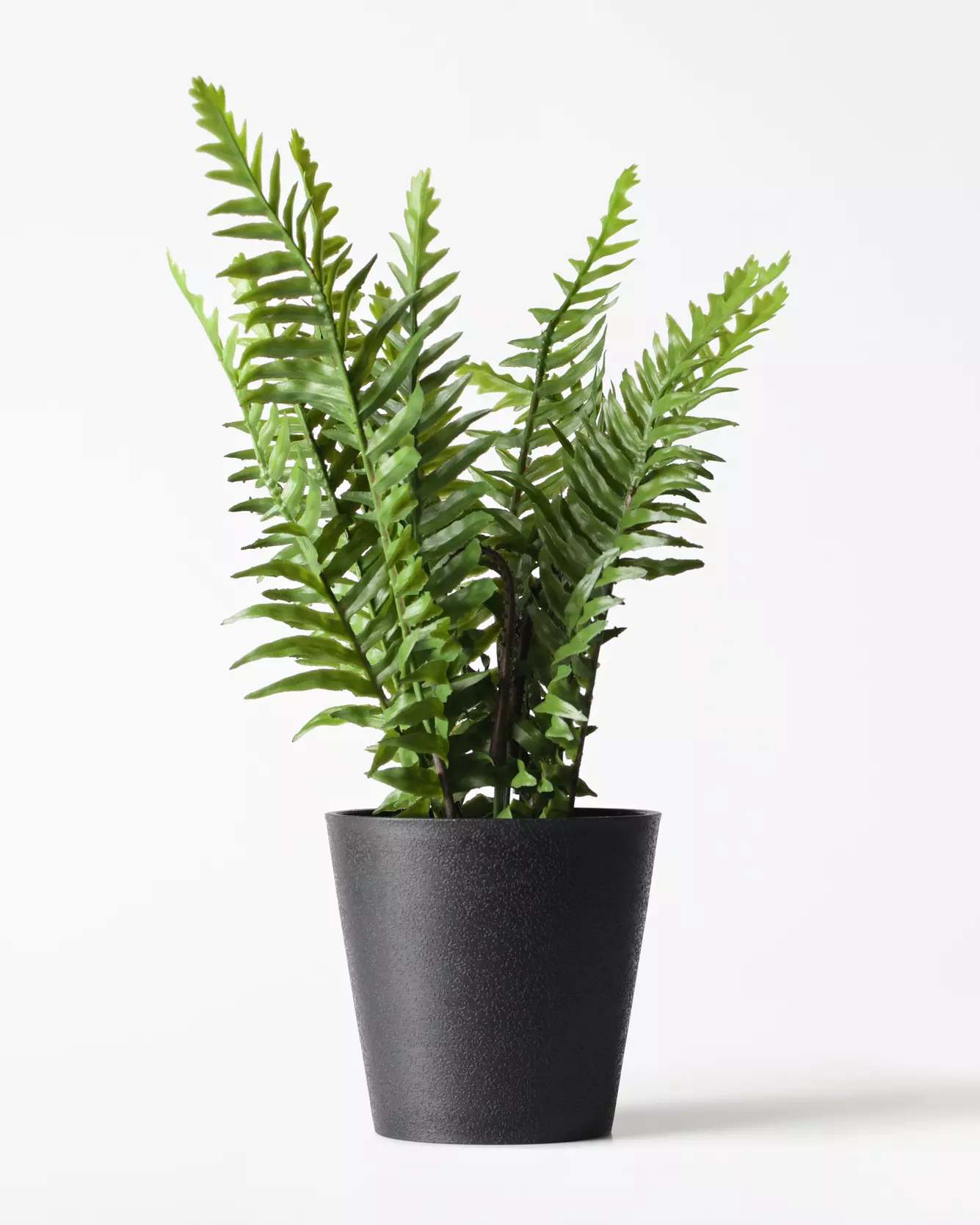 fougère artificielle 55 cm