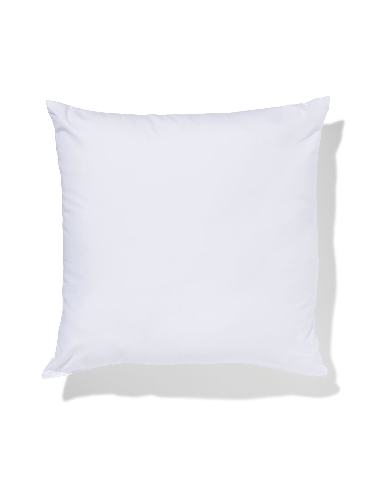 coussin rembourrage int&eacute;rieur 430 grammes 50 x 50 - 7311099 - HEMA