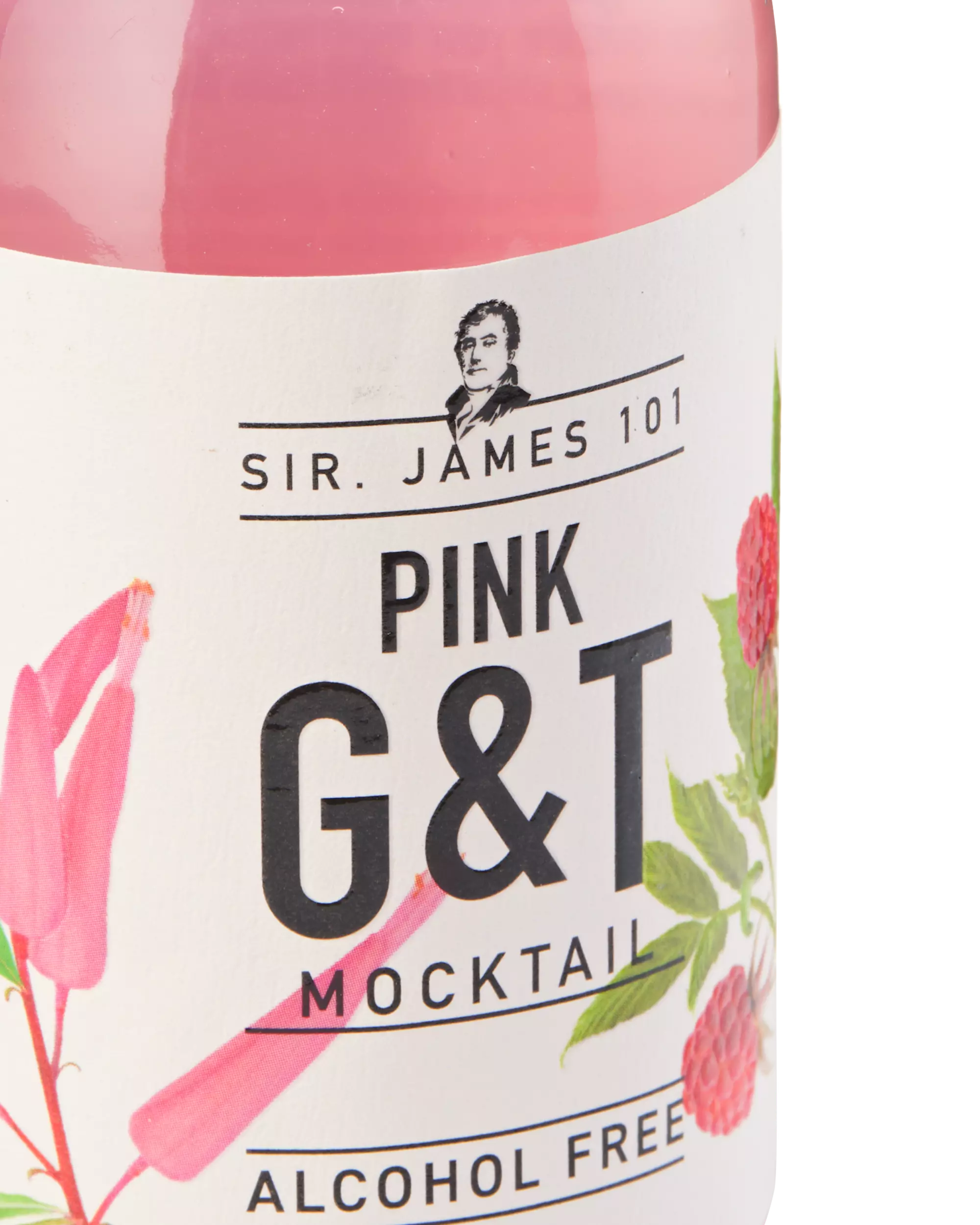 alcoholvrije pink G&T 250ml