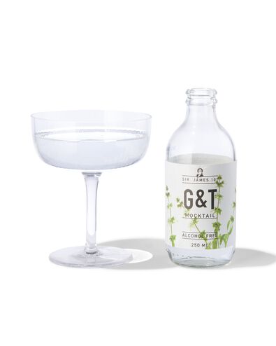 G&T sans alcool 250ml - 17420042 - HEMA