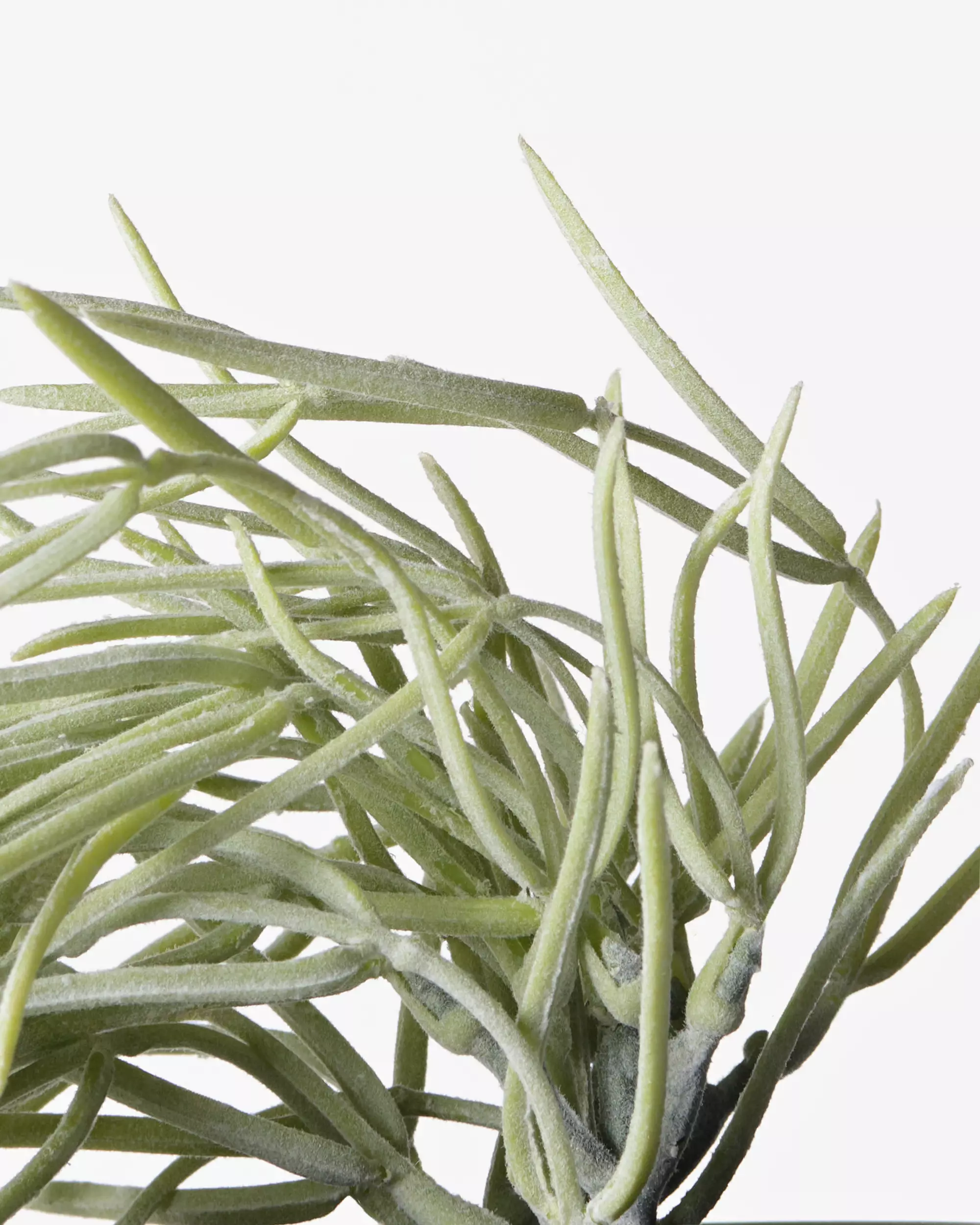 kunstplant hangplant 55cm