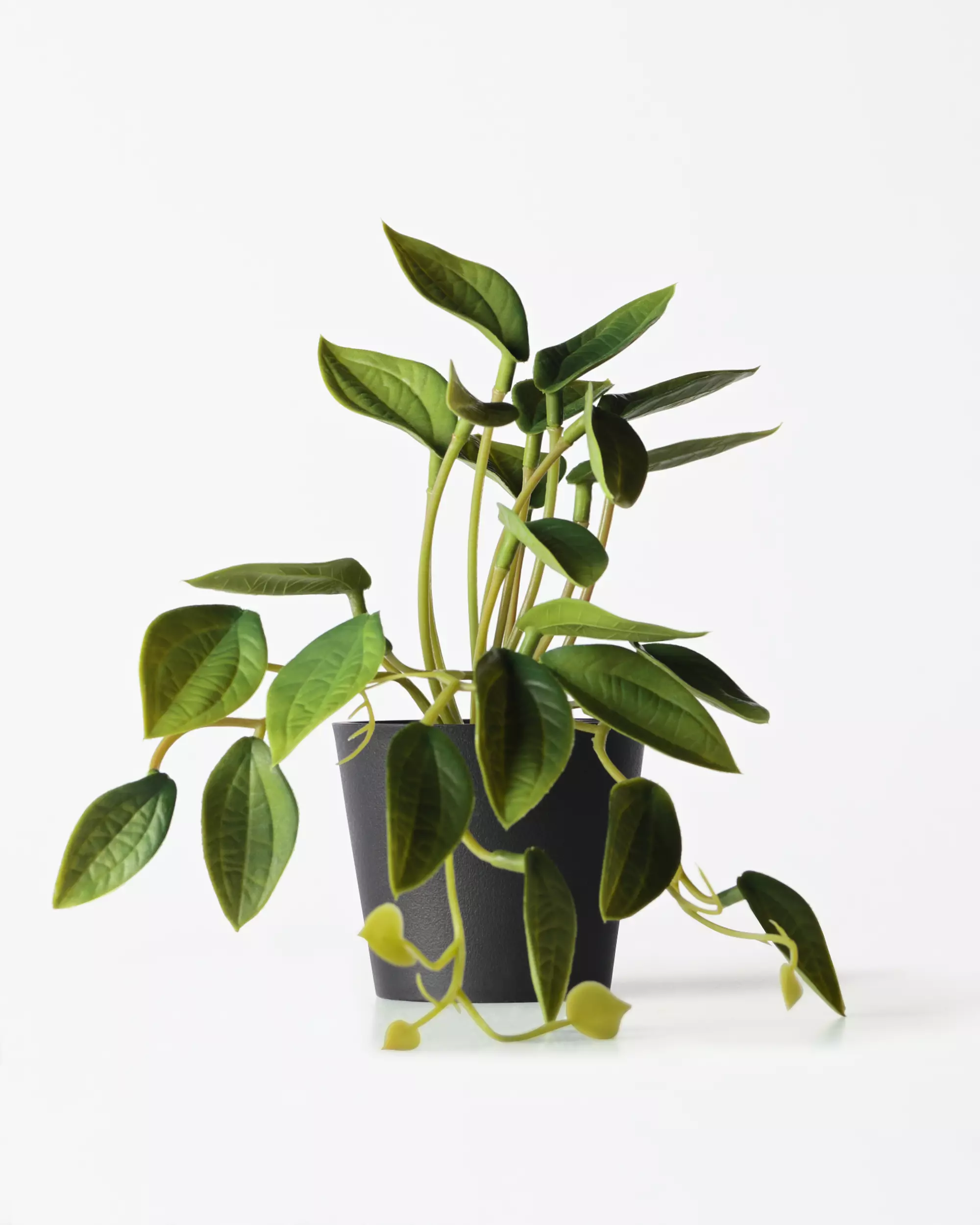 kunstplant philodendron 55cm