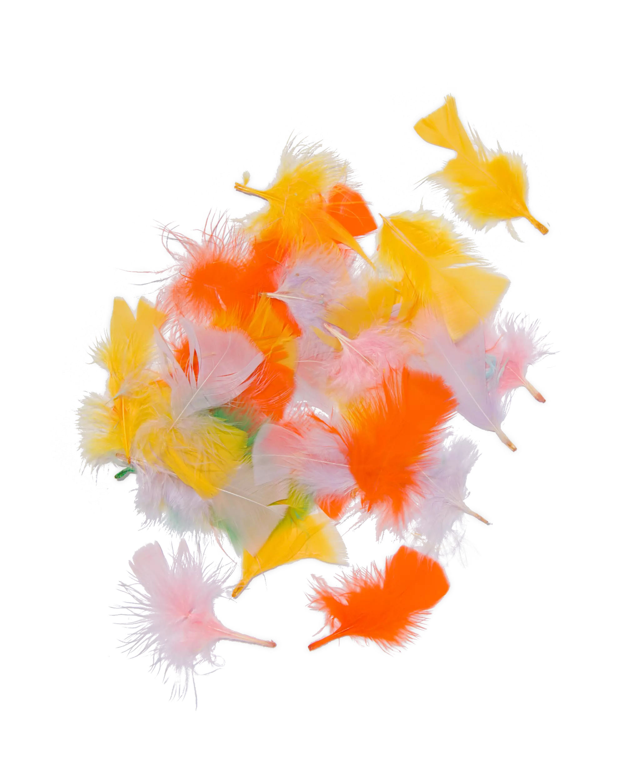 100 plumes