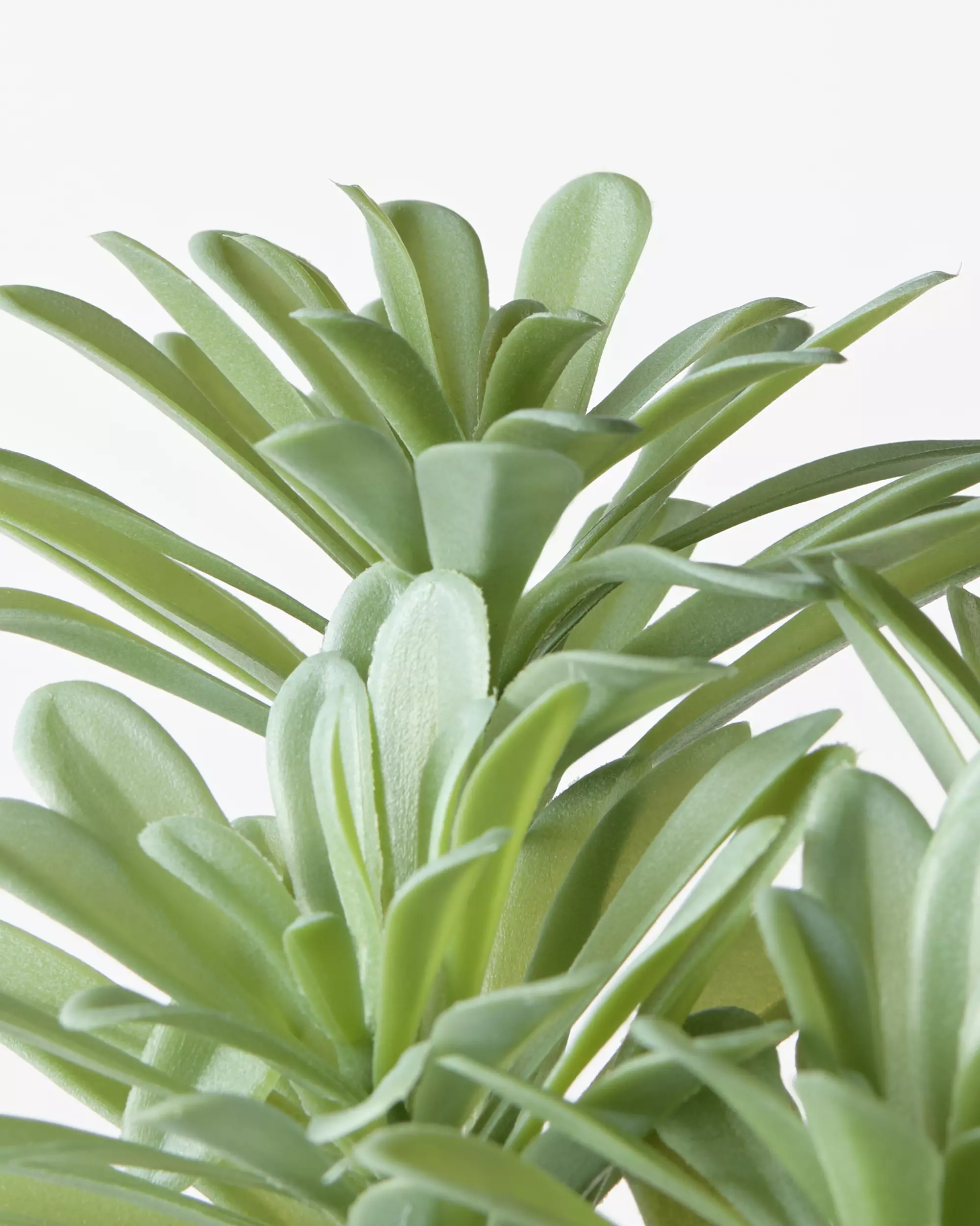plante artificielle plante grasse 55 cm