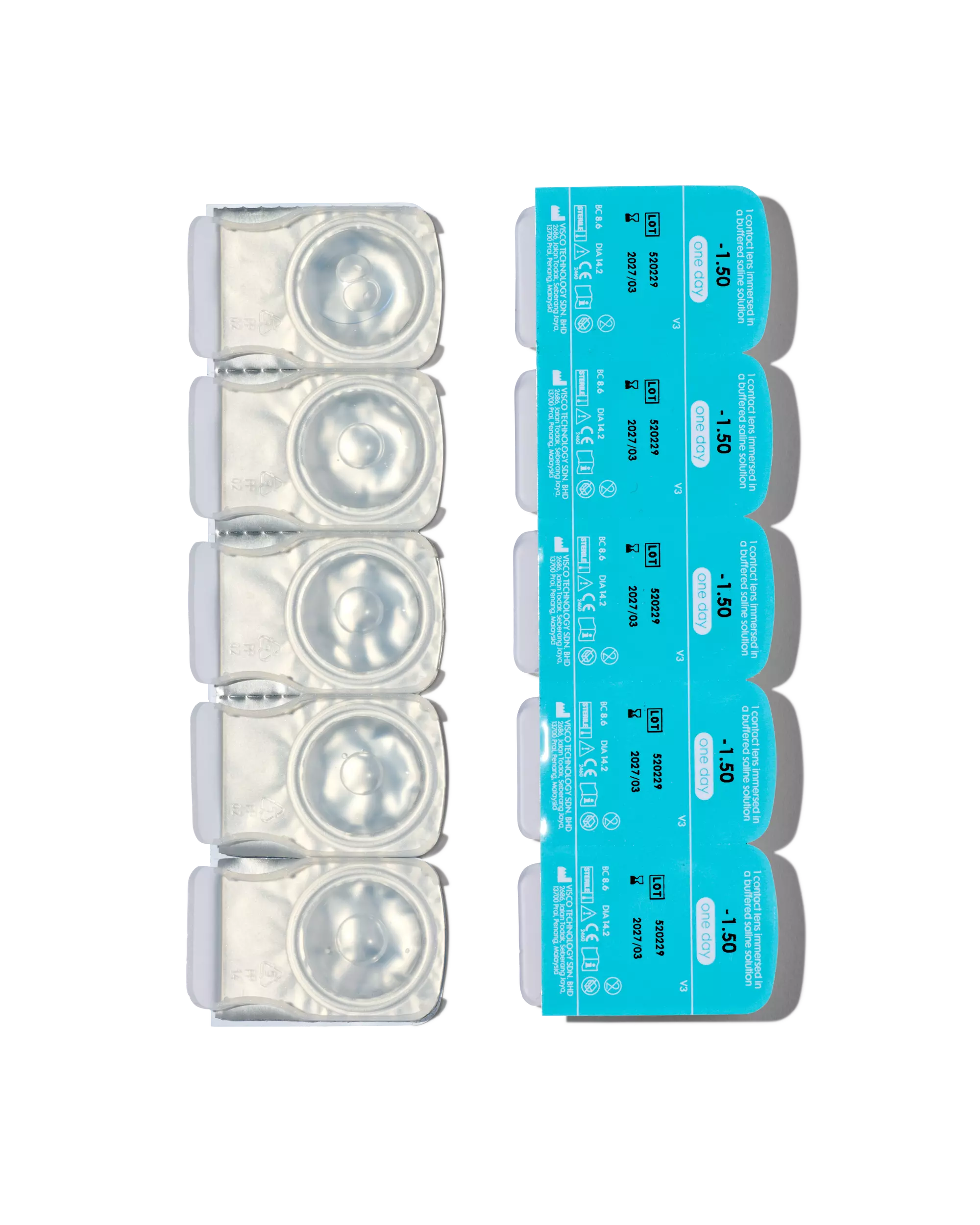 zachte daglenzen -1.50 - 10 stuks