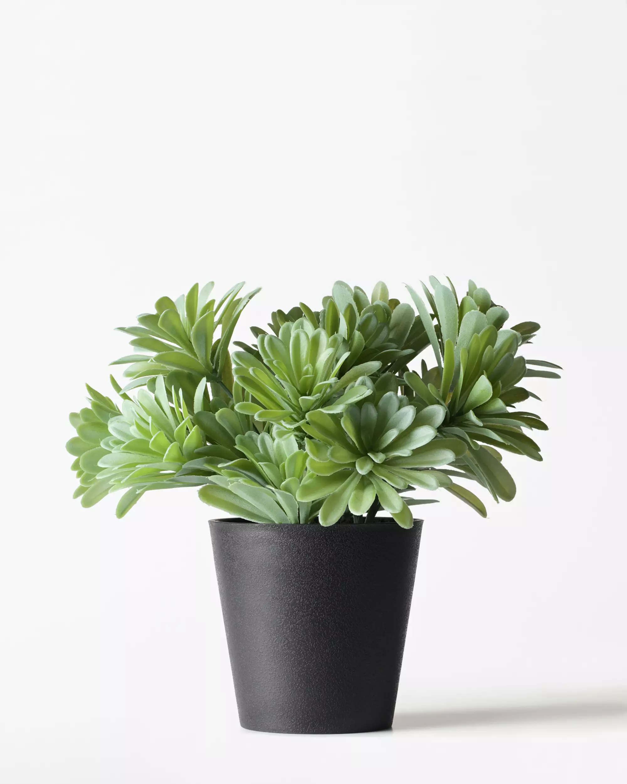 kunstplant vetplant 55cm 