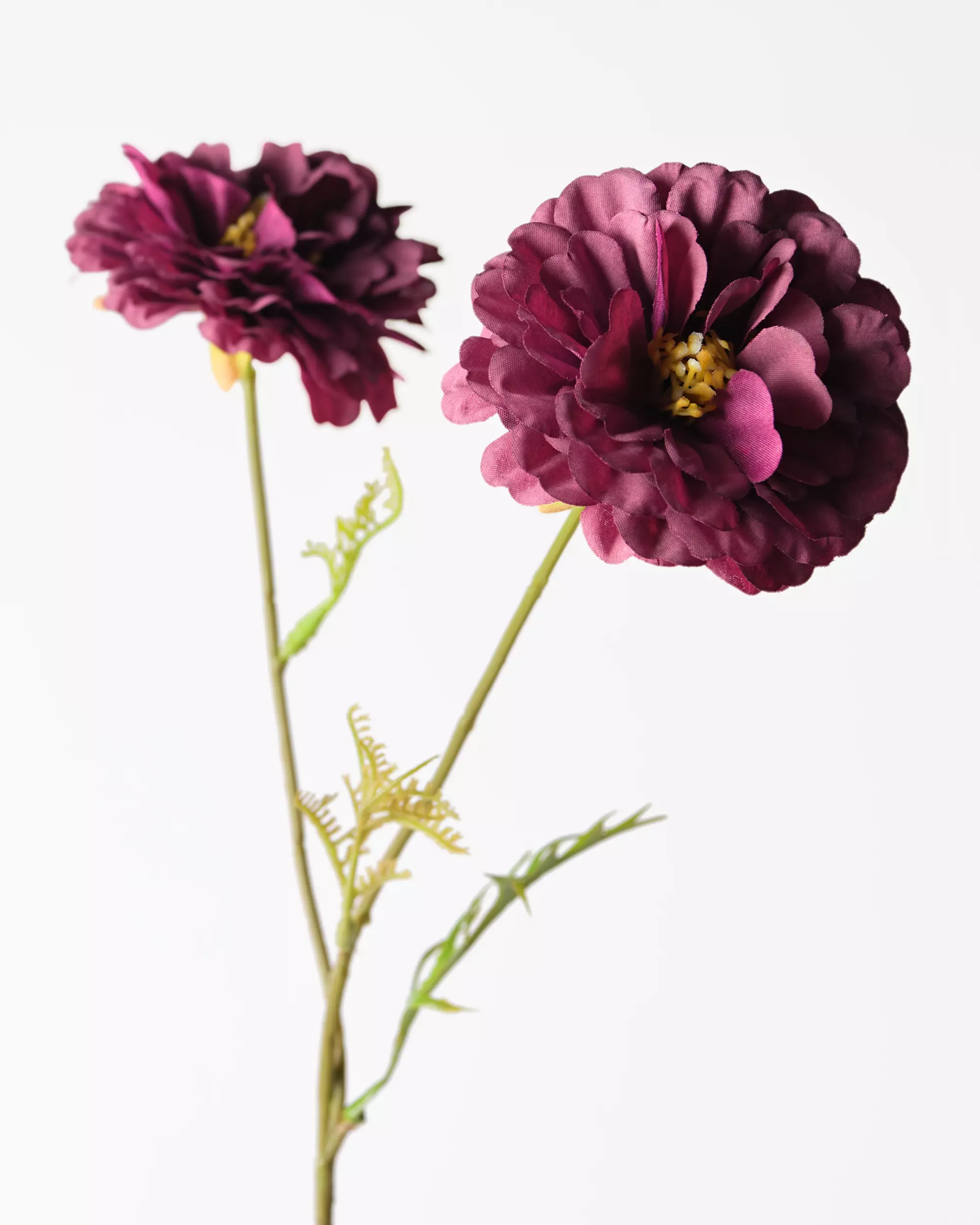 kunstbloem zinnia 55cm donkerpaars