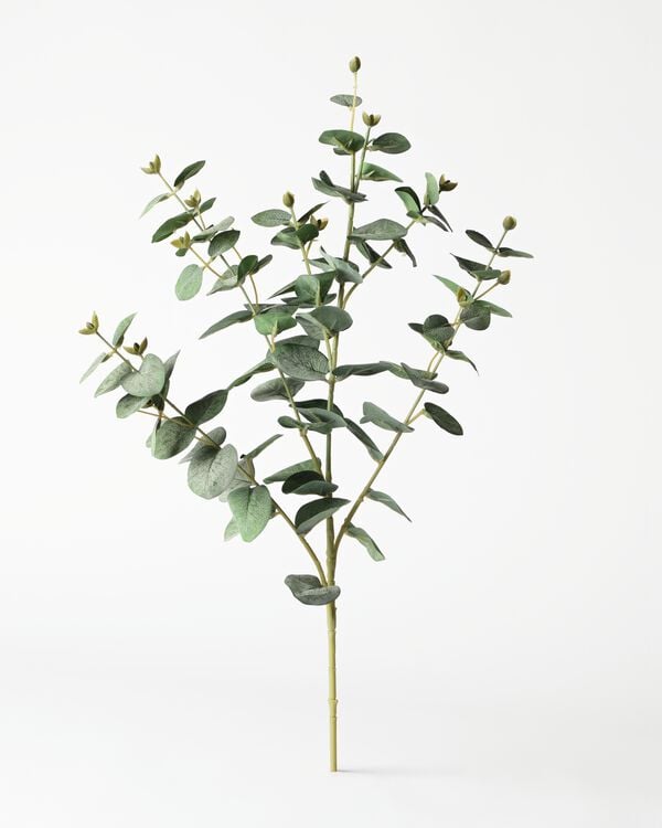 branche d'eucalyptus artificielle 55 cm - 41326210 - HEMA