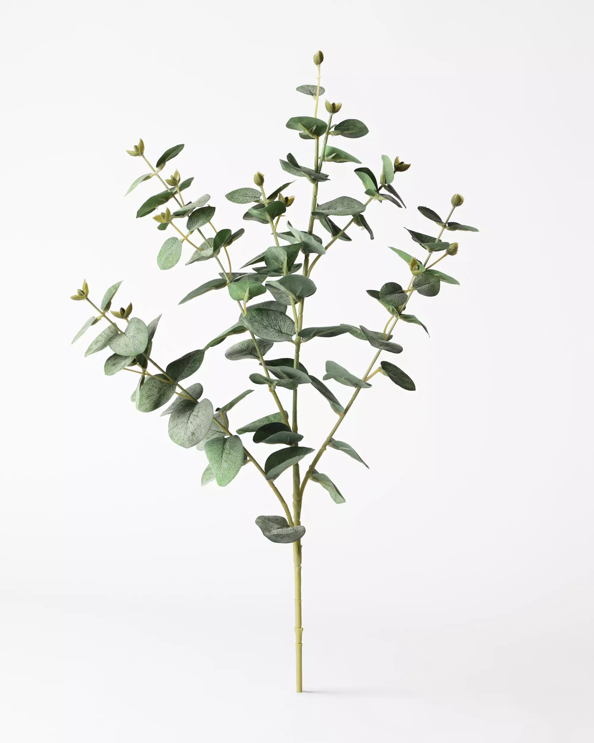 branche d'eucalyptus artificielle 55 cm