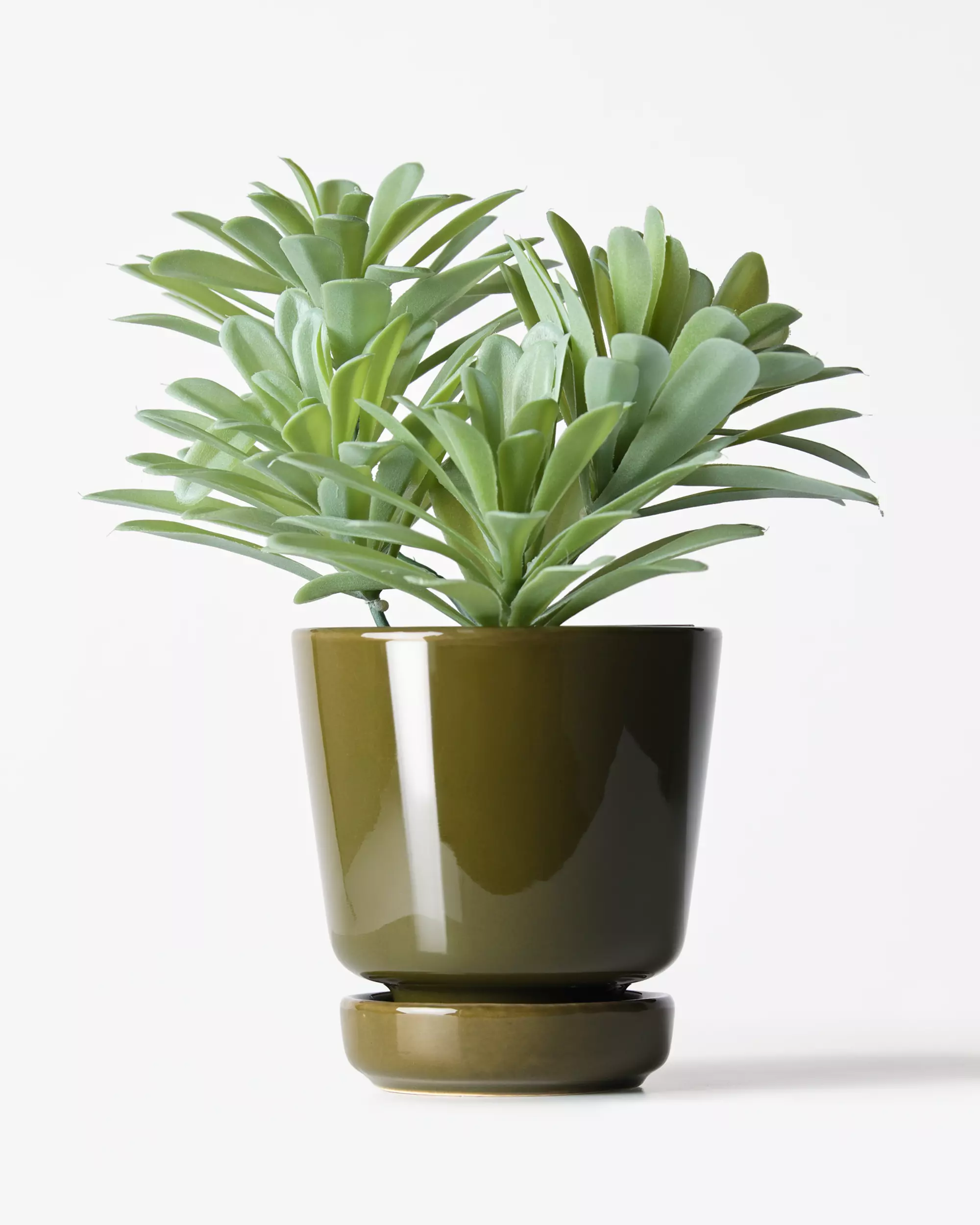 plante artificielle plante grasse 55 cm