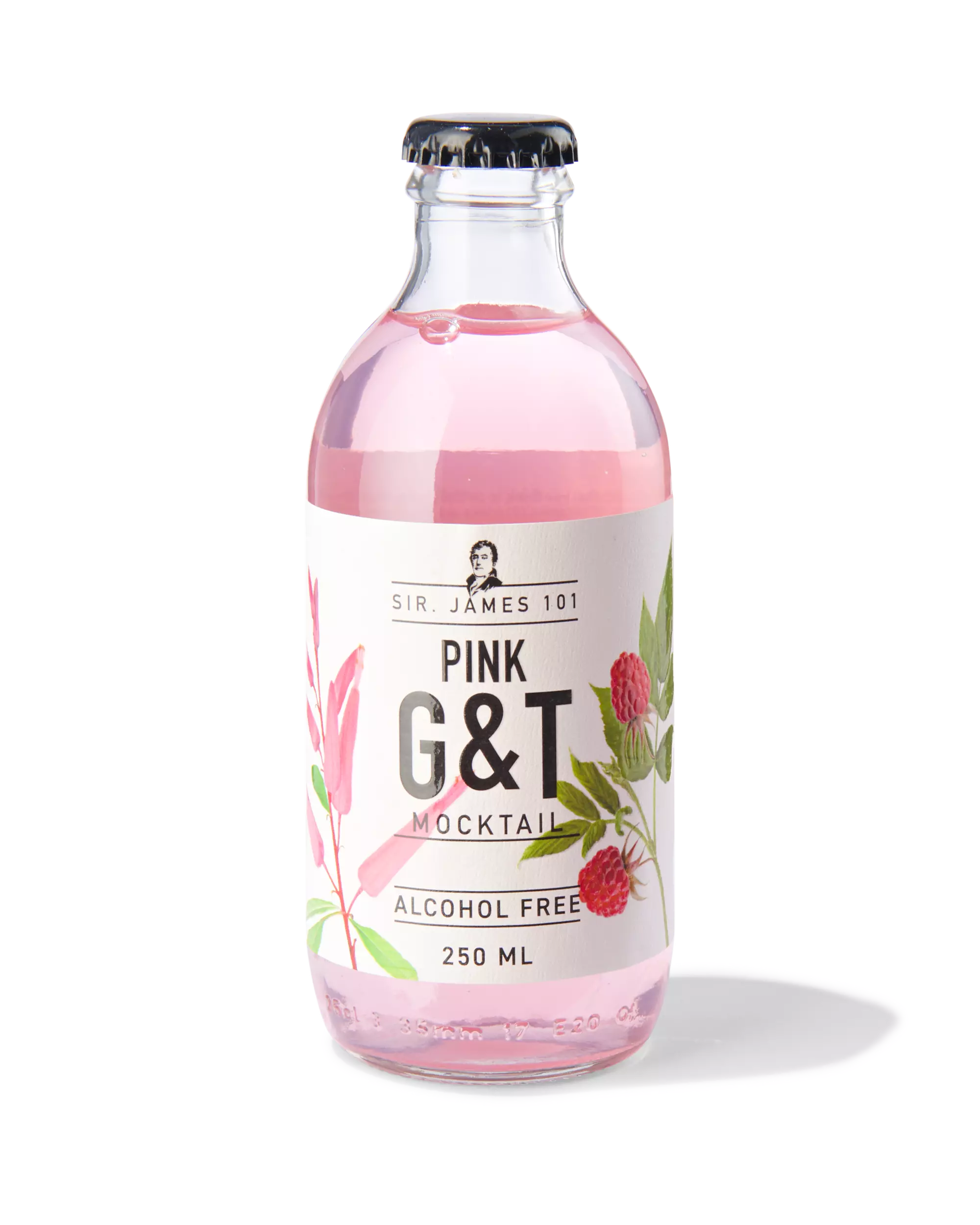 alcoholvrije pink G&T 250ml